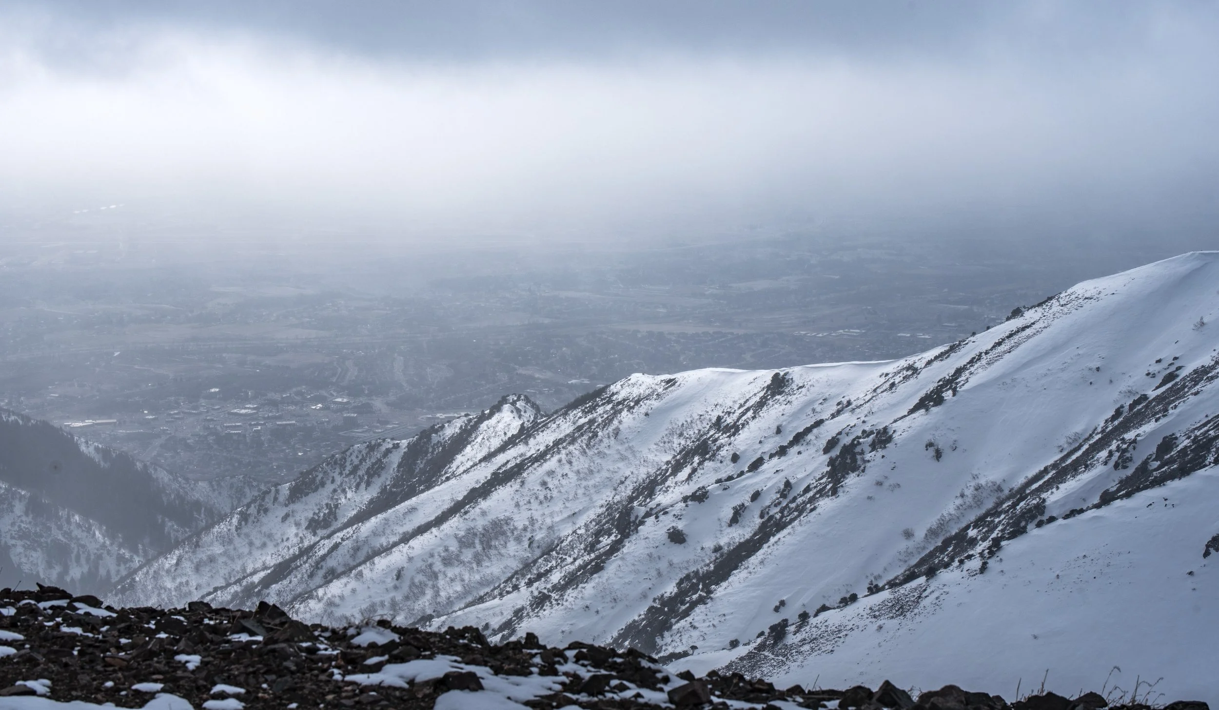 D75_5778.jpg
