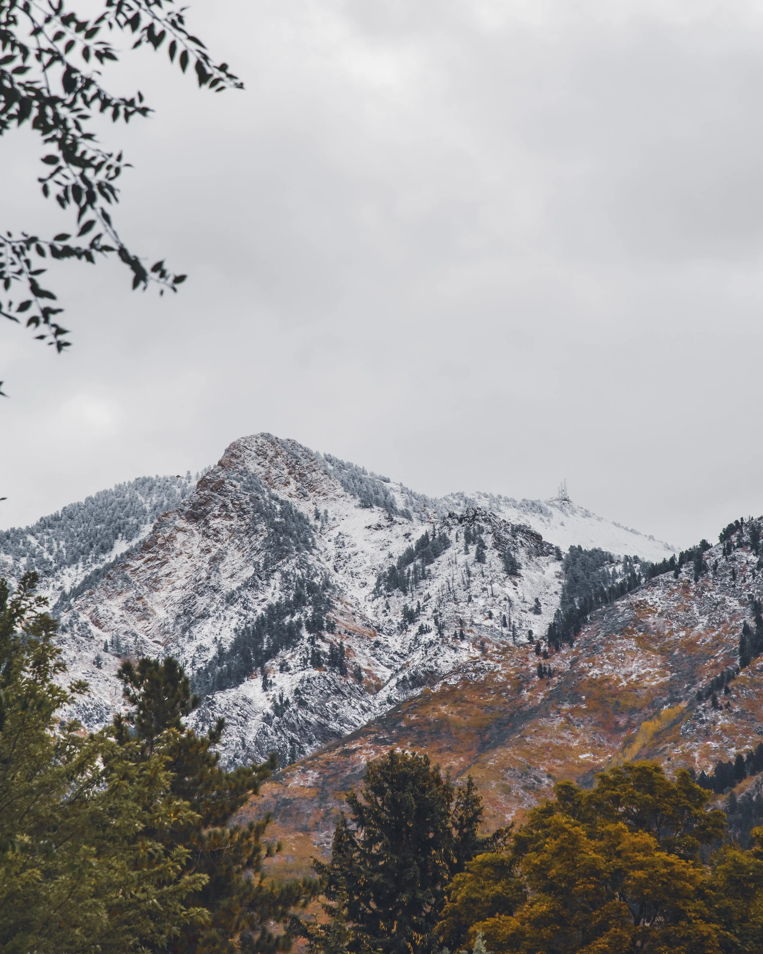 D75_5946-HDR.jpg