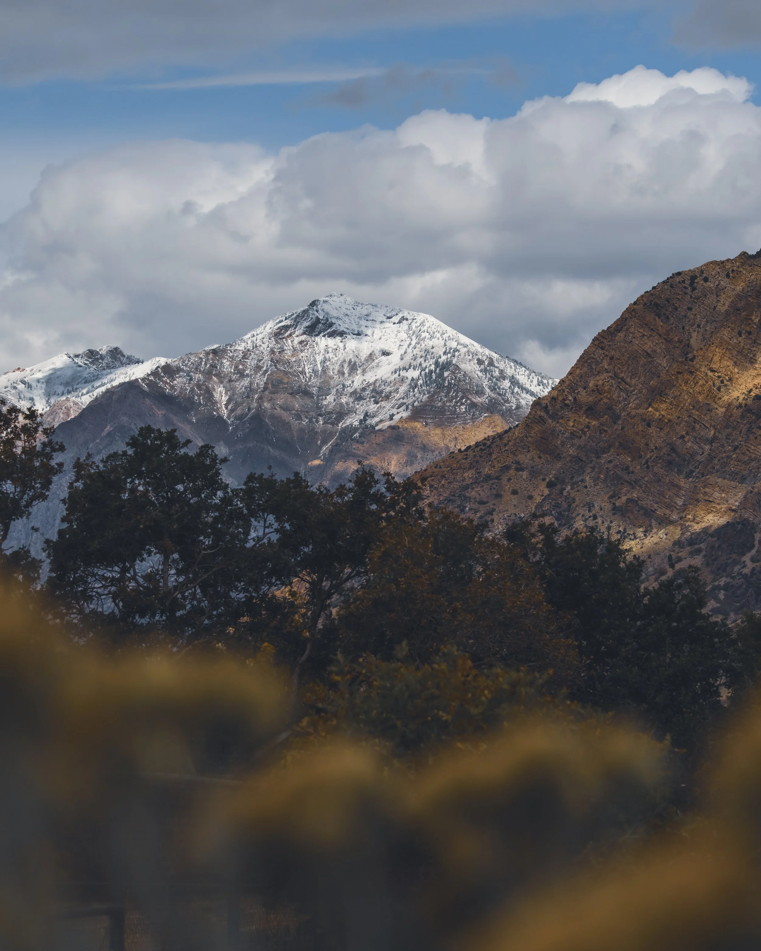 D75_5976-HDR.jpg