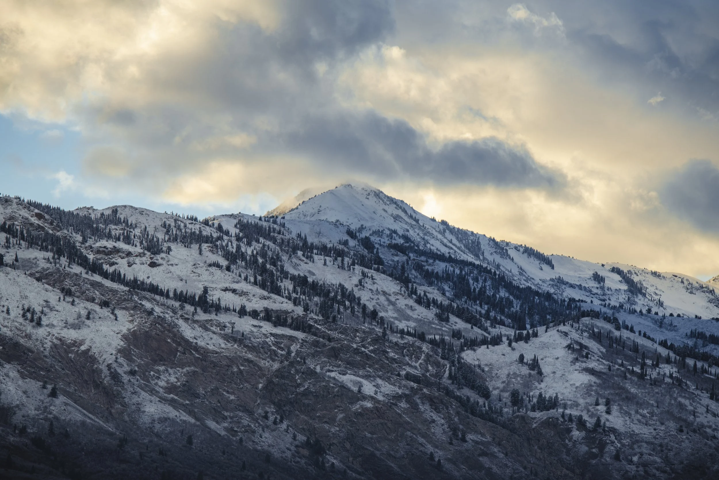 D75_6423-HDR.jpg