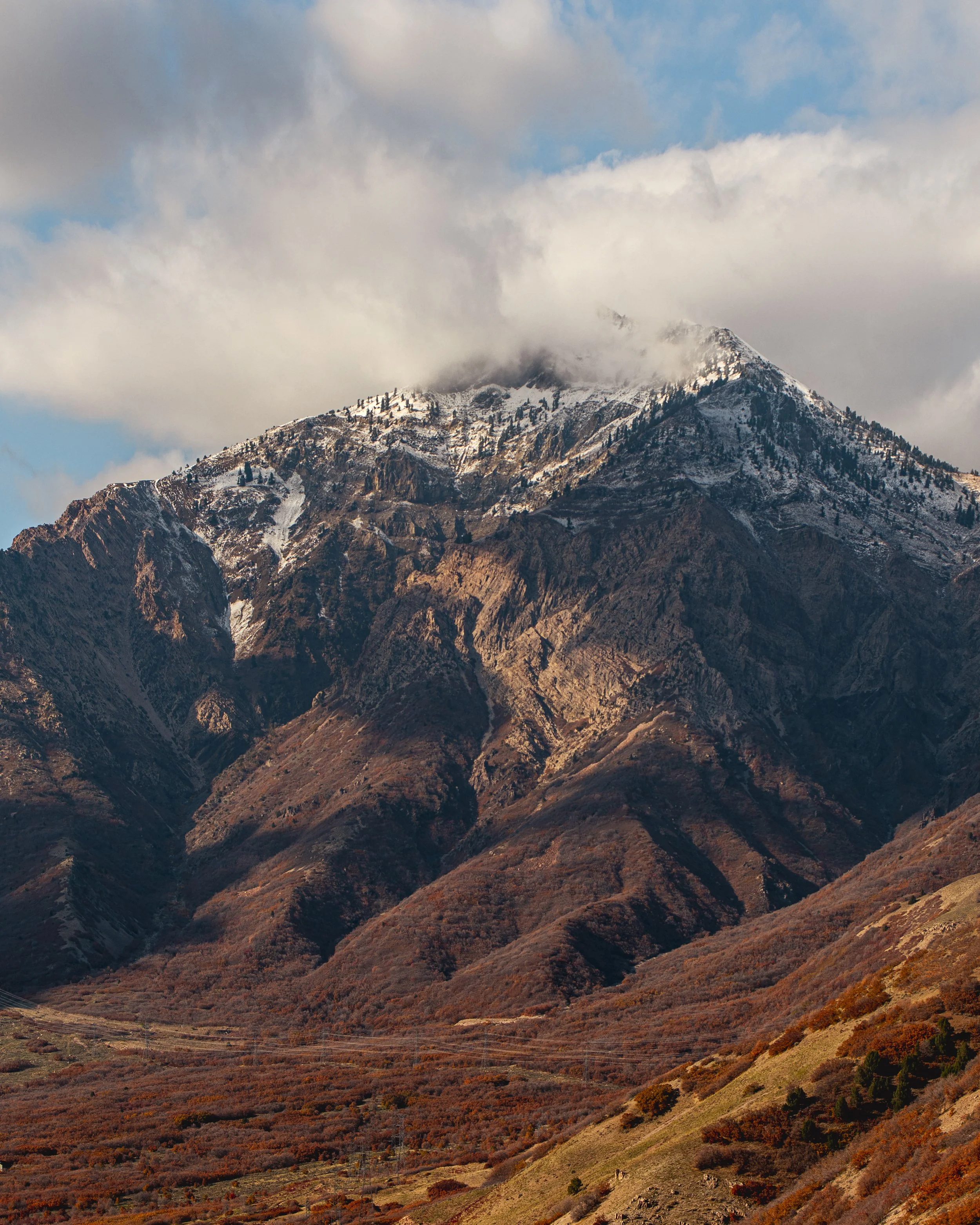 D75_6599.jpg
