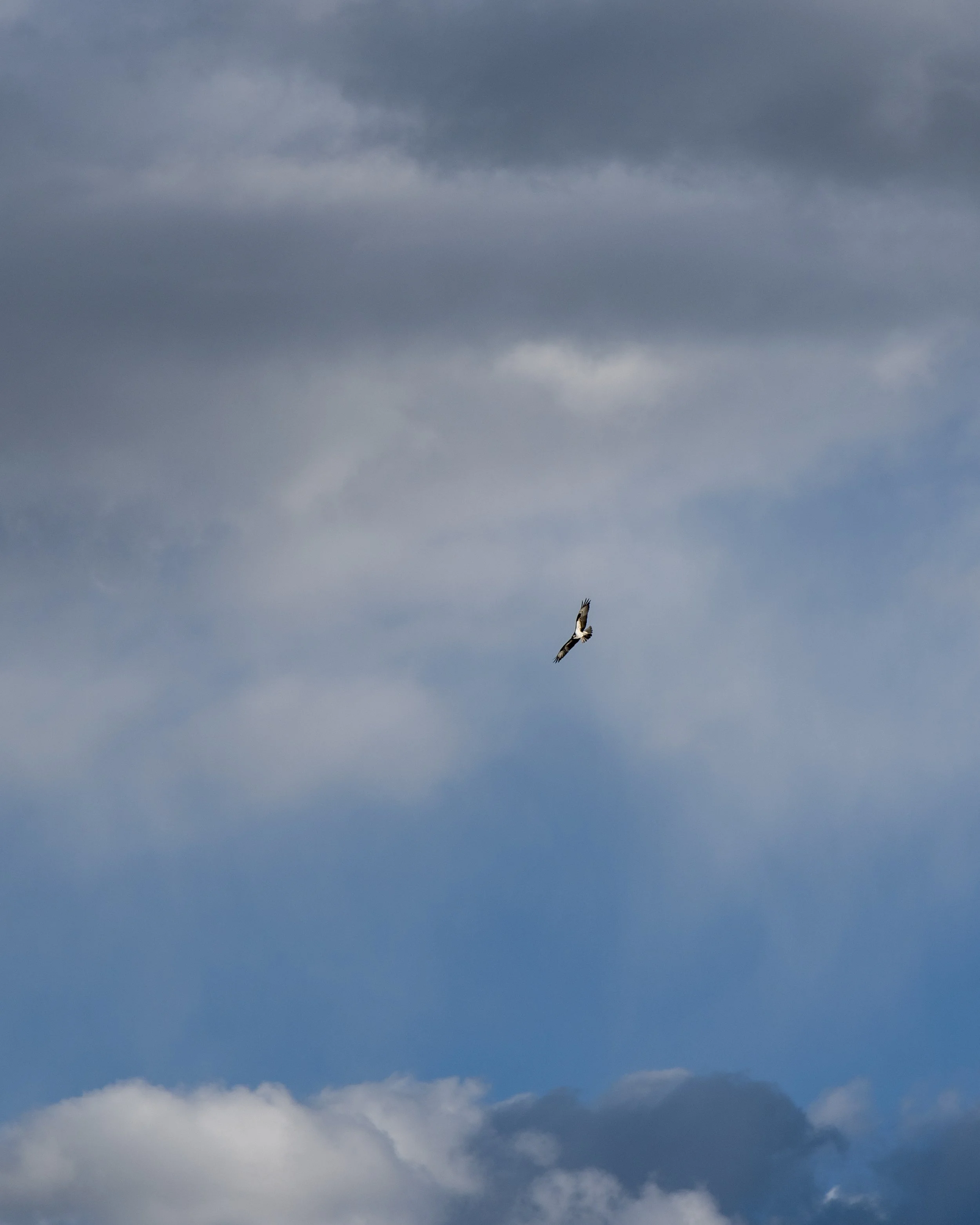 D75_8026.jpg