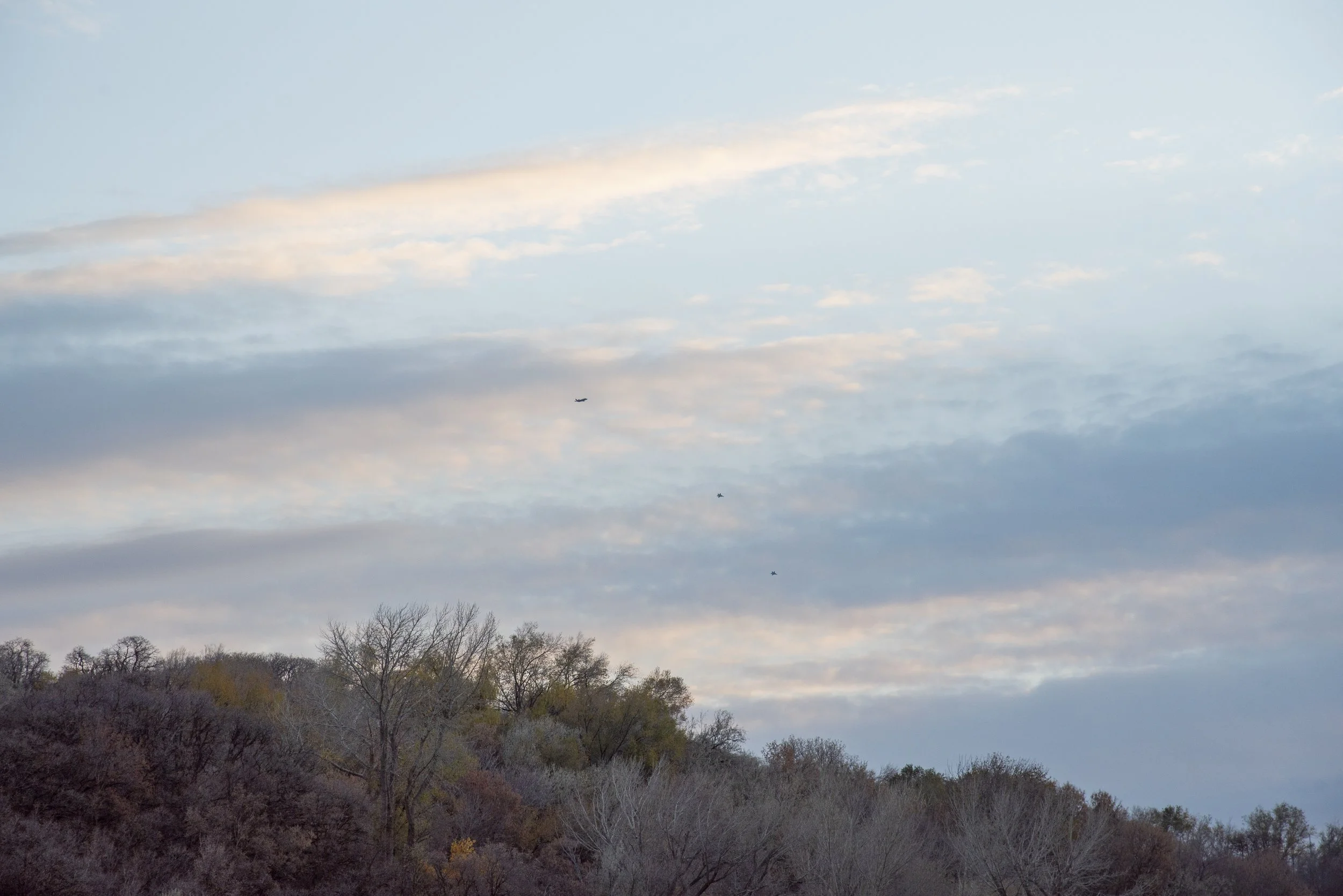 D75_9185.jpg