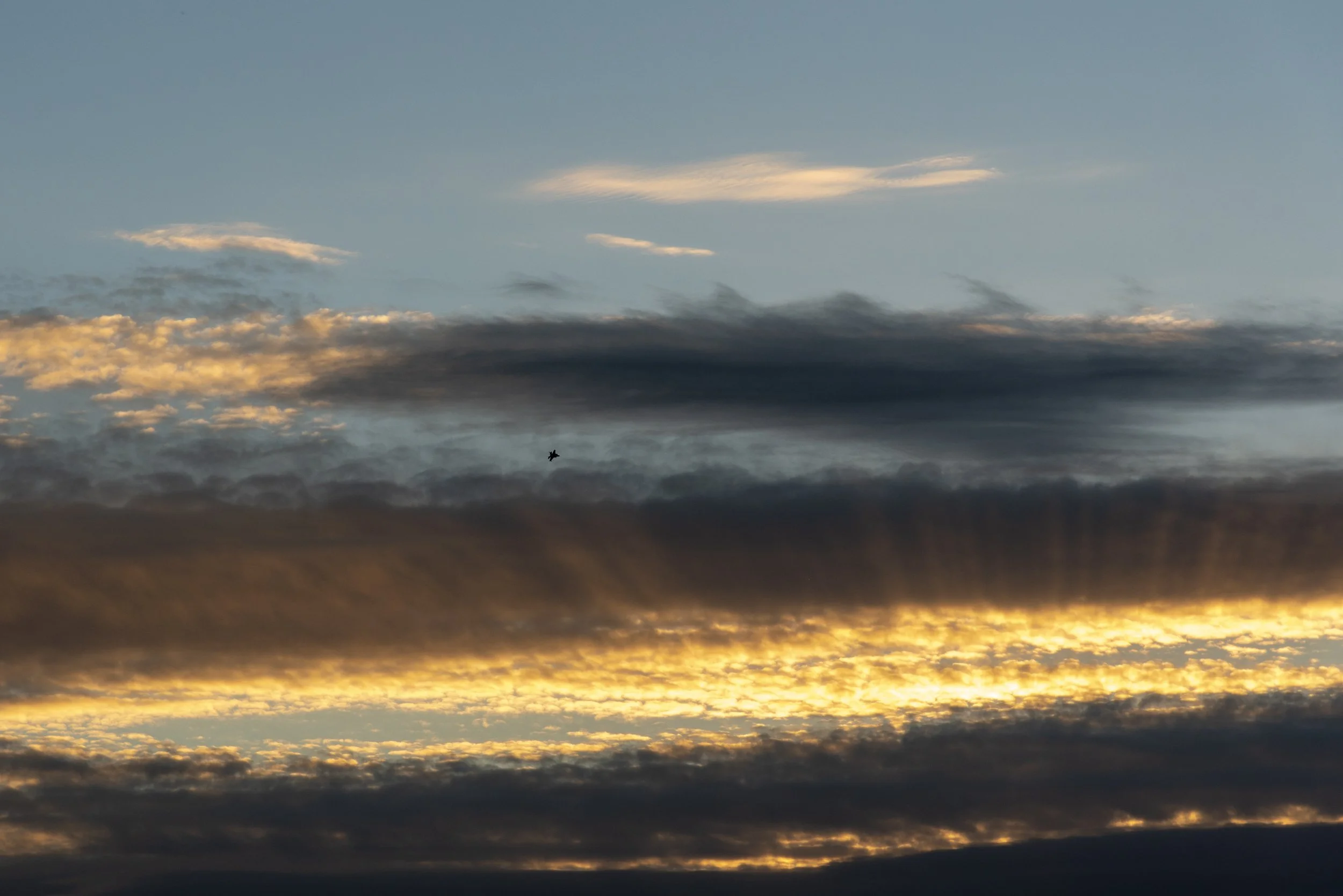 D75_9198.jpg