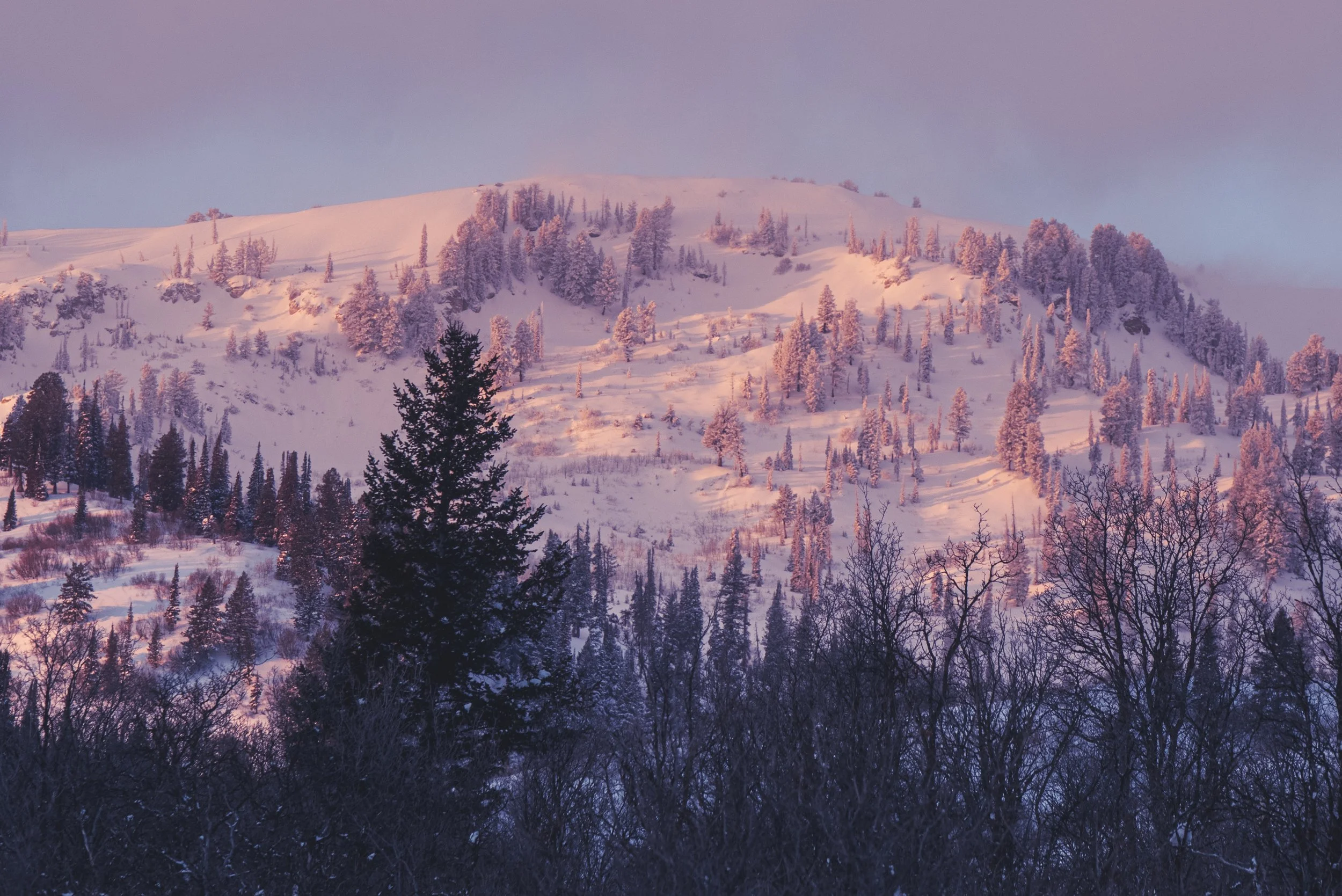 D75_9667-HDR.jpg