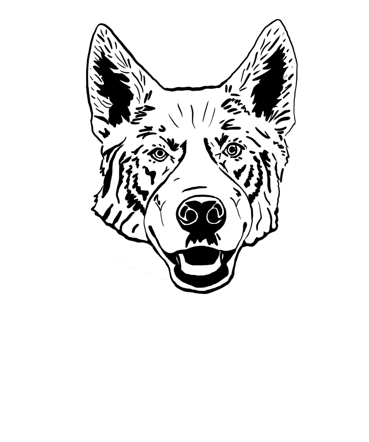 C13ED7A8-93C5-4390-A7B3-78EA44D2960D.png