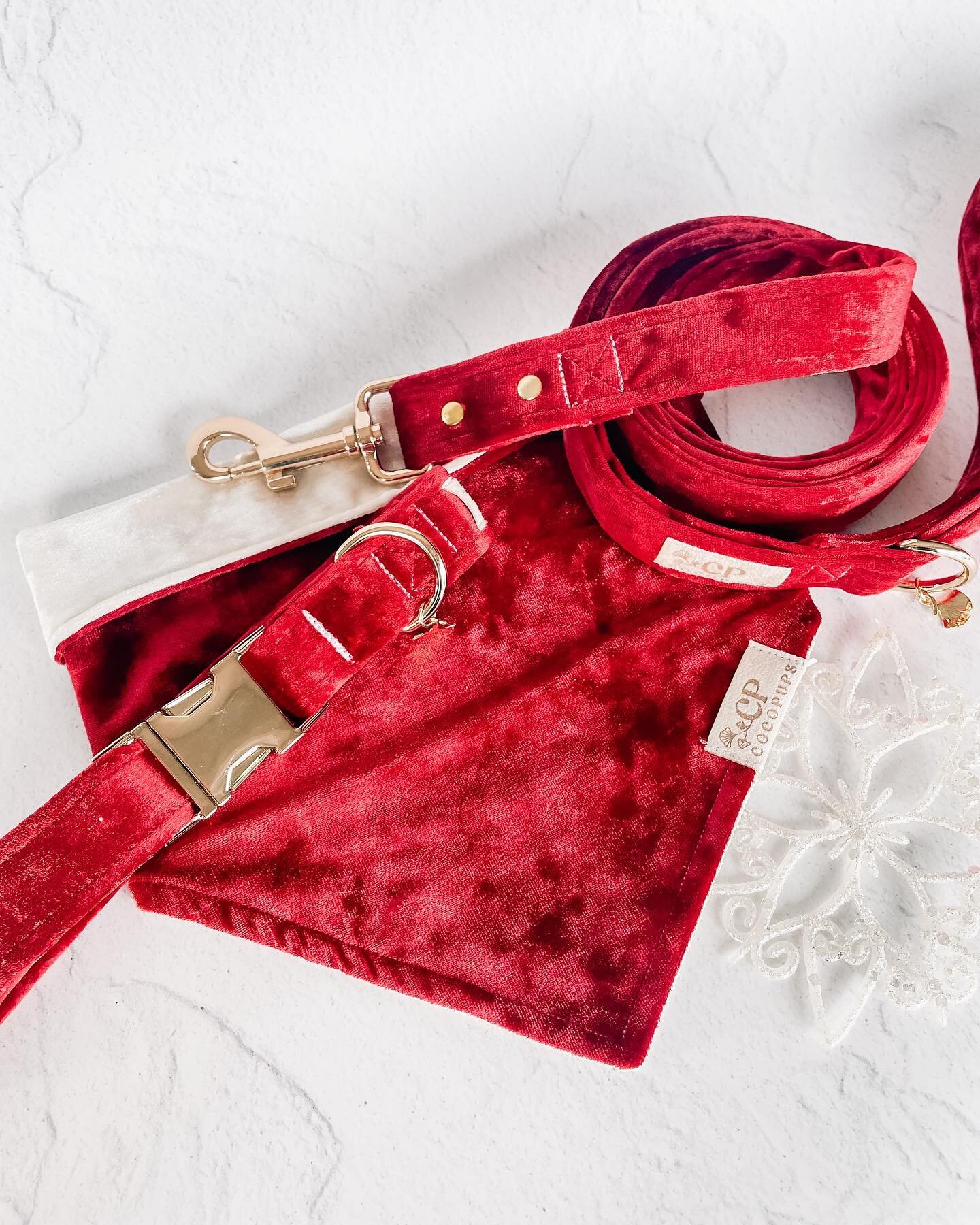 💌🎅🏼 All I want for Christmas &hellip;

Our best selling velvet print last year is back! Shop our Spiced Sangria collars and leashes, or our new Santa Paws reversible bandana ❤️
