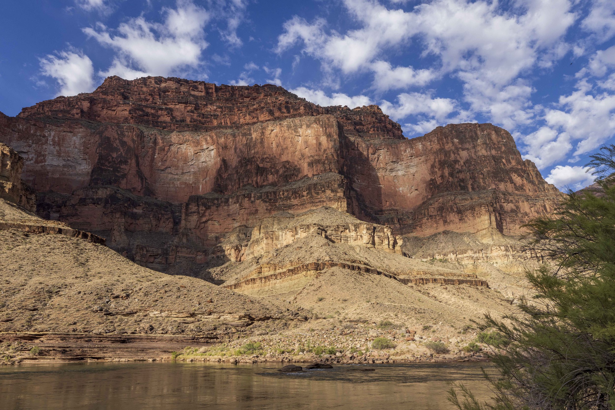 Scenic view of the Grand Canyon with layered red rock formations under a partly cloudy sky, with a river at the bottom and desert vegetation on the right.