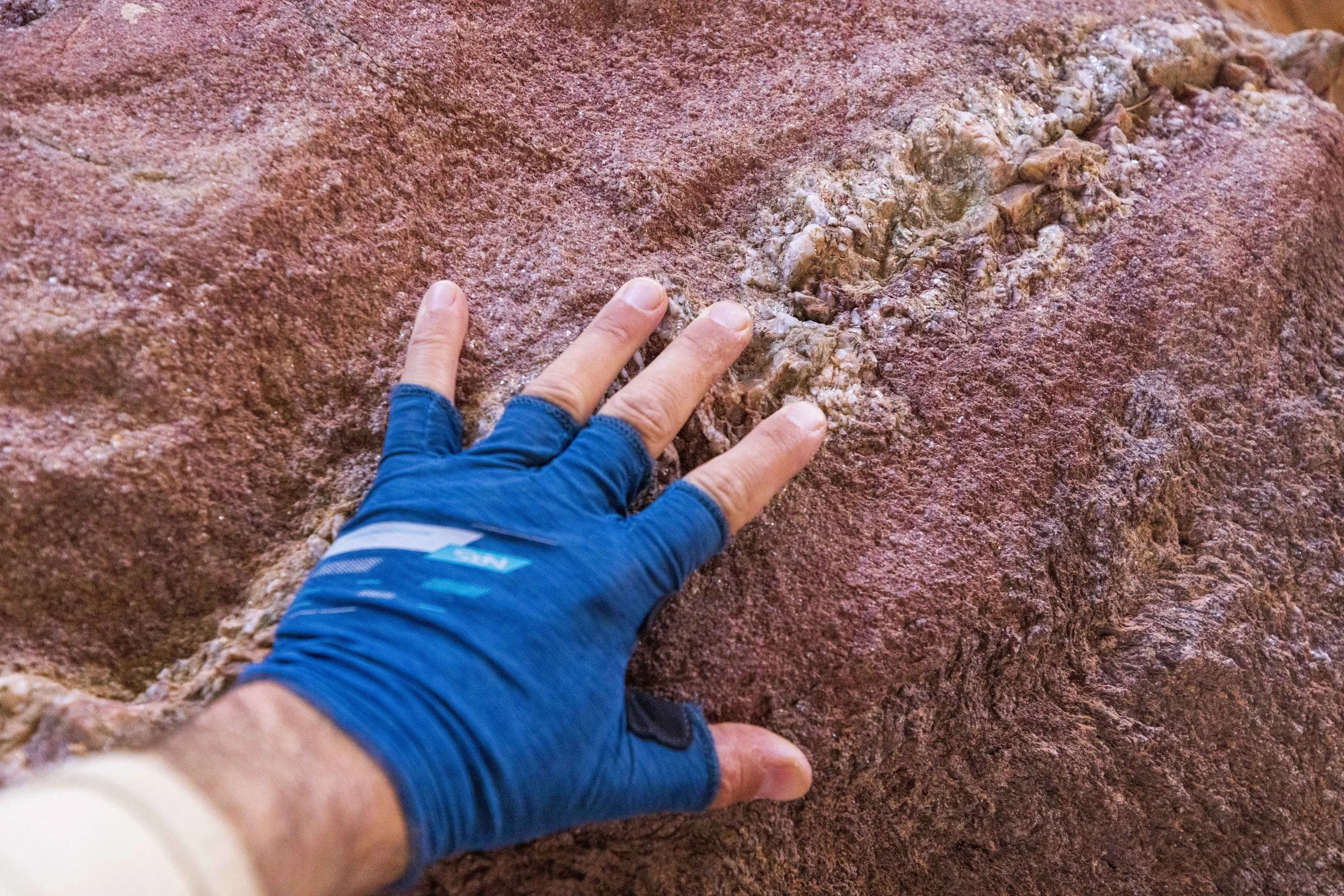 Close-up of a person’s hand wearing a blue glove, touching a rough-textured red rock surface.