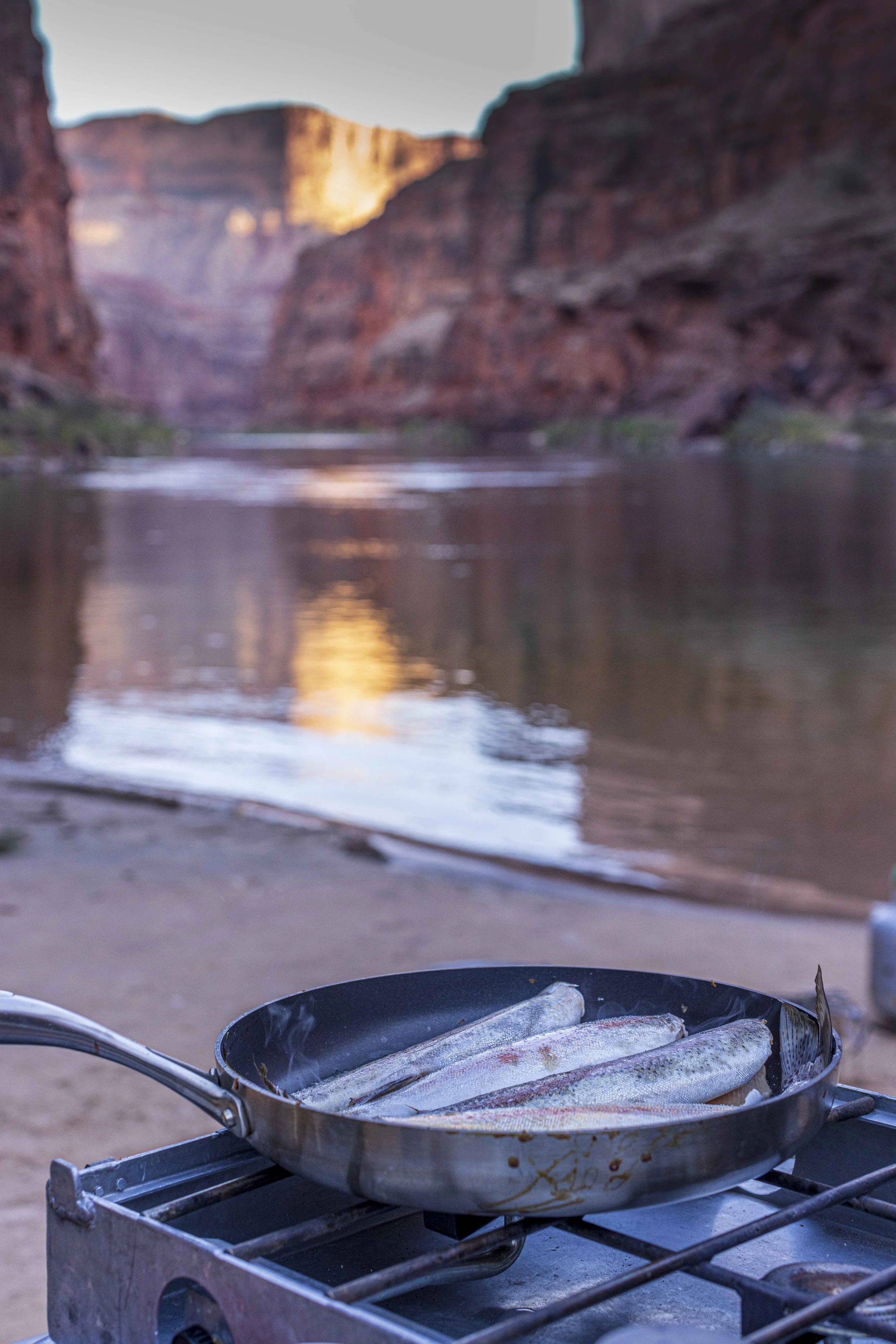 Fried fish cooking in a pan on a camping stove near the Grand Canyon, with the canyon walls and Colorado River in the background