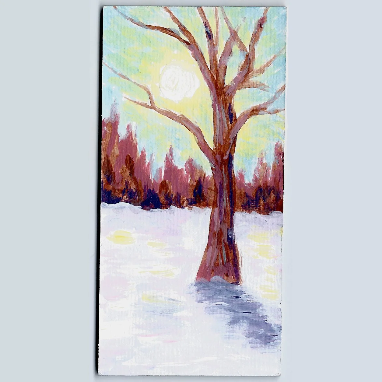 Winter Sunrise.jpg