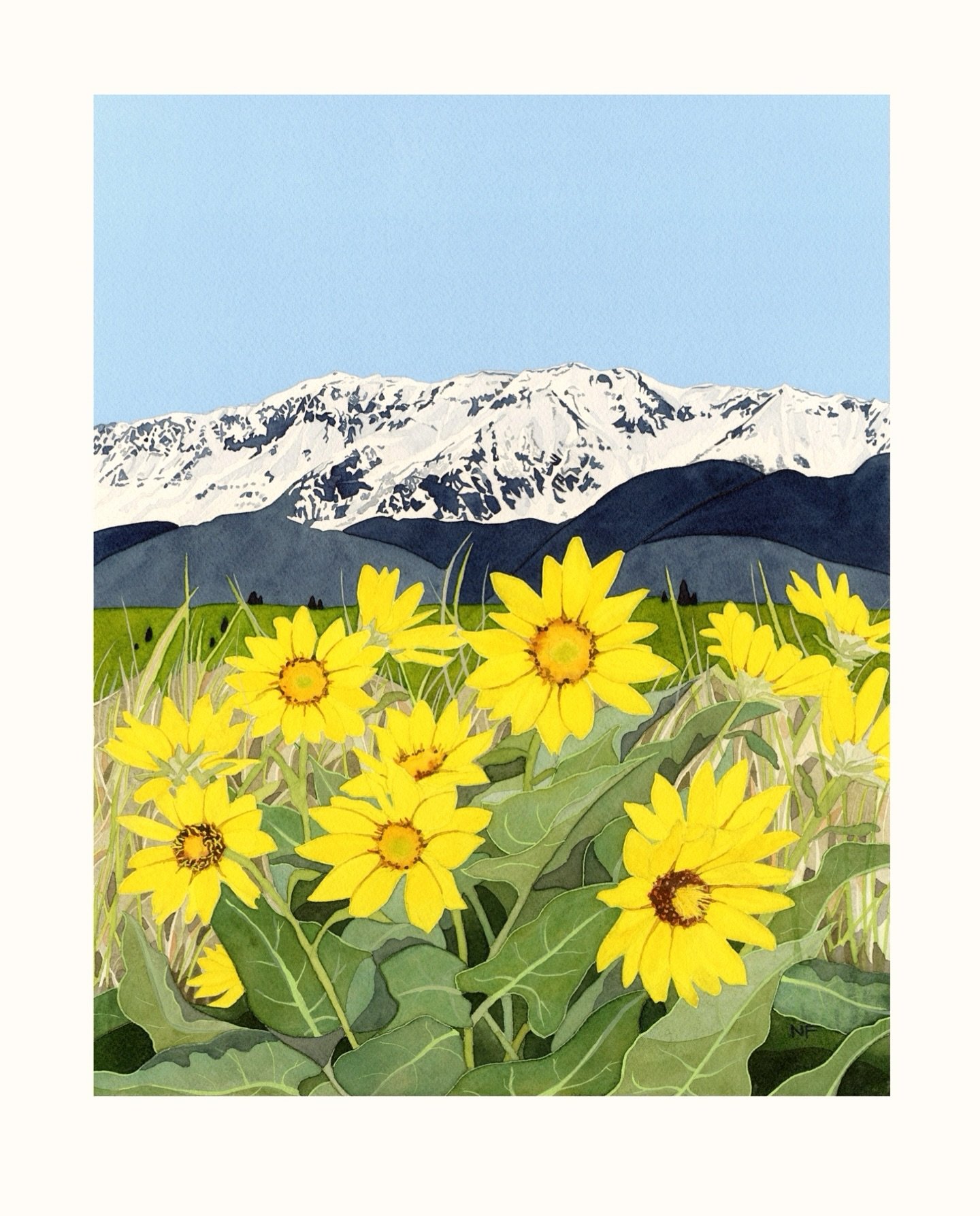 The brilliant, saturated yellow of arrowleaf balsamroot dotting canyon and mountain slopes always brings me good feelings. 

They&rsquo;re fading in the valley but keep these blooms in your midst a little longer: 
&ldquo;Balsamroot Blooming with Chie