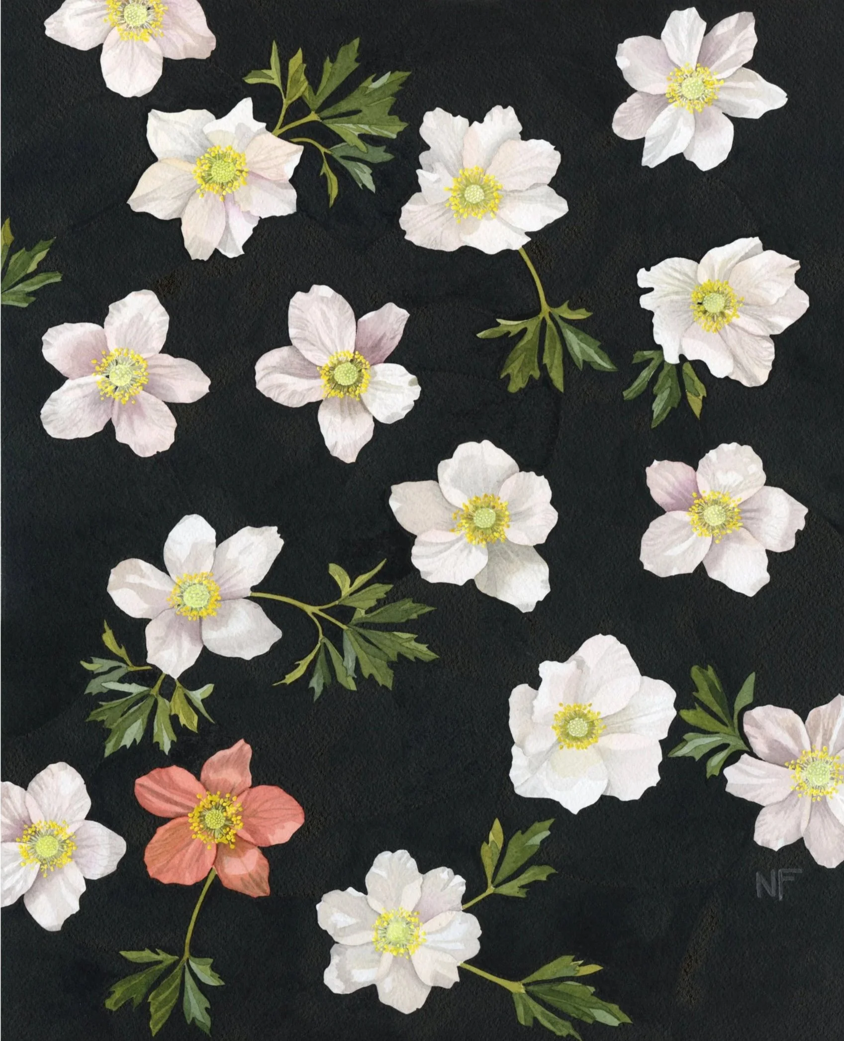 "Alder Slope Anemones" • Available • 2025 • Watercolor and gouache on paper