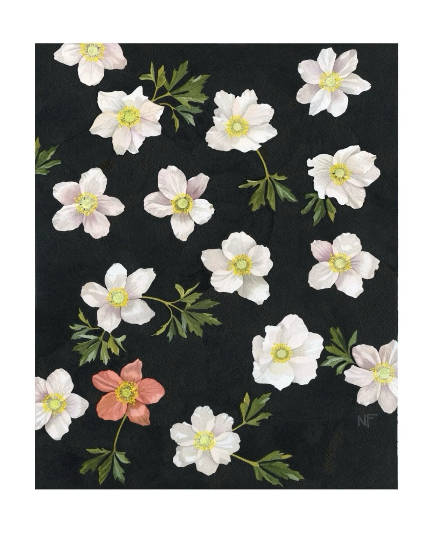 &bull; Alder Slope Anemones &bull;
Watercolor &amp; gouache on paper, 2025

I love these delicate yet hardy flowers that grow outside our door. They come up every spring despite receiving no care and having to contend with grass encroachment and any/