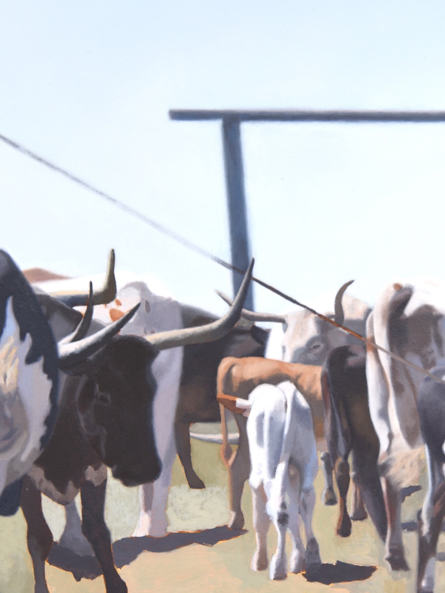 Another section of the painting currently on my easel. There are a lot of cows and calves in this piece and each animal takes me quite a while to work through. So very many colors in each, with all their light, shadow, and sheen.
.
.
.
.
.
.
.
.
.
.
