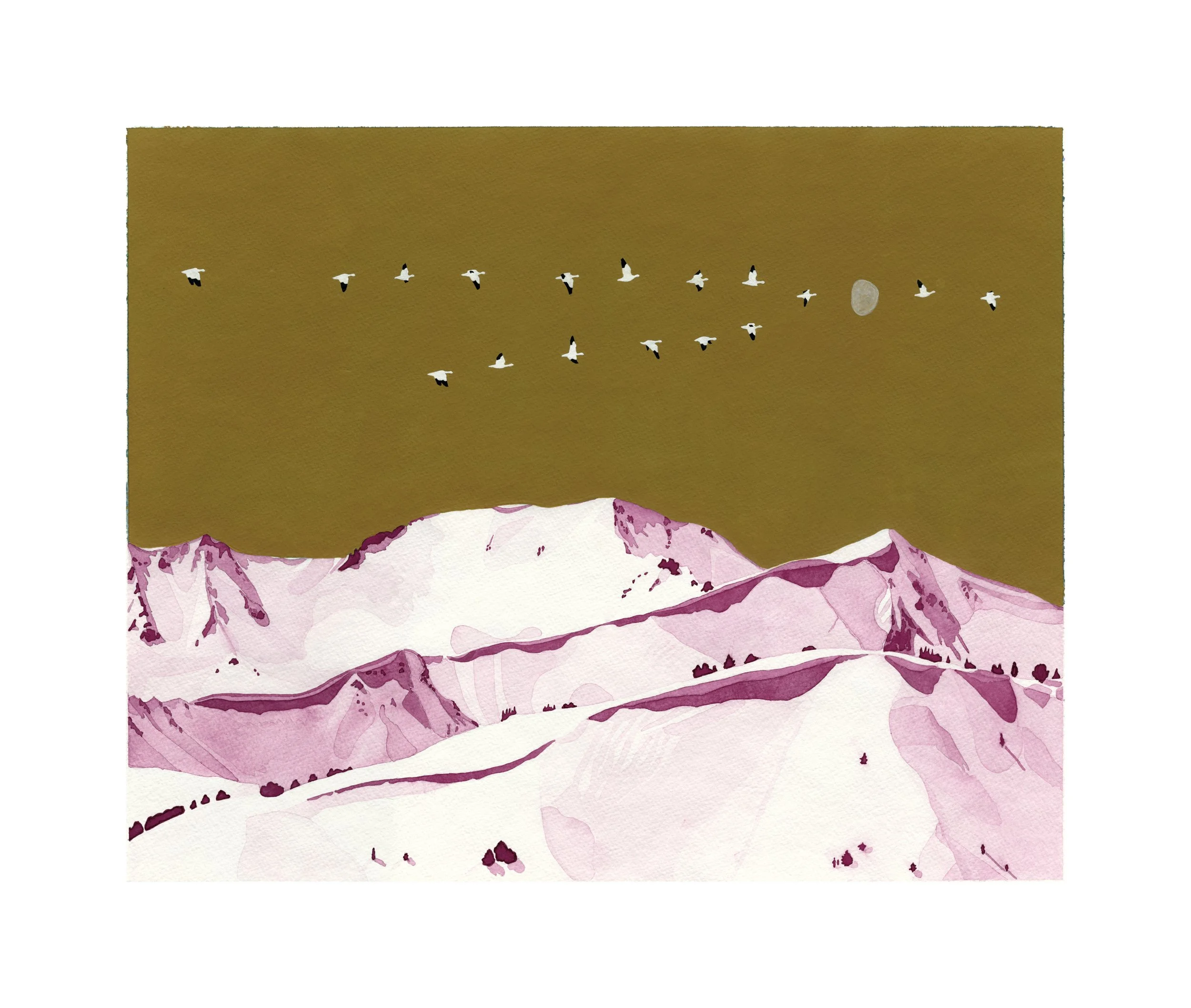 With white border for IG.jpg