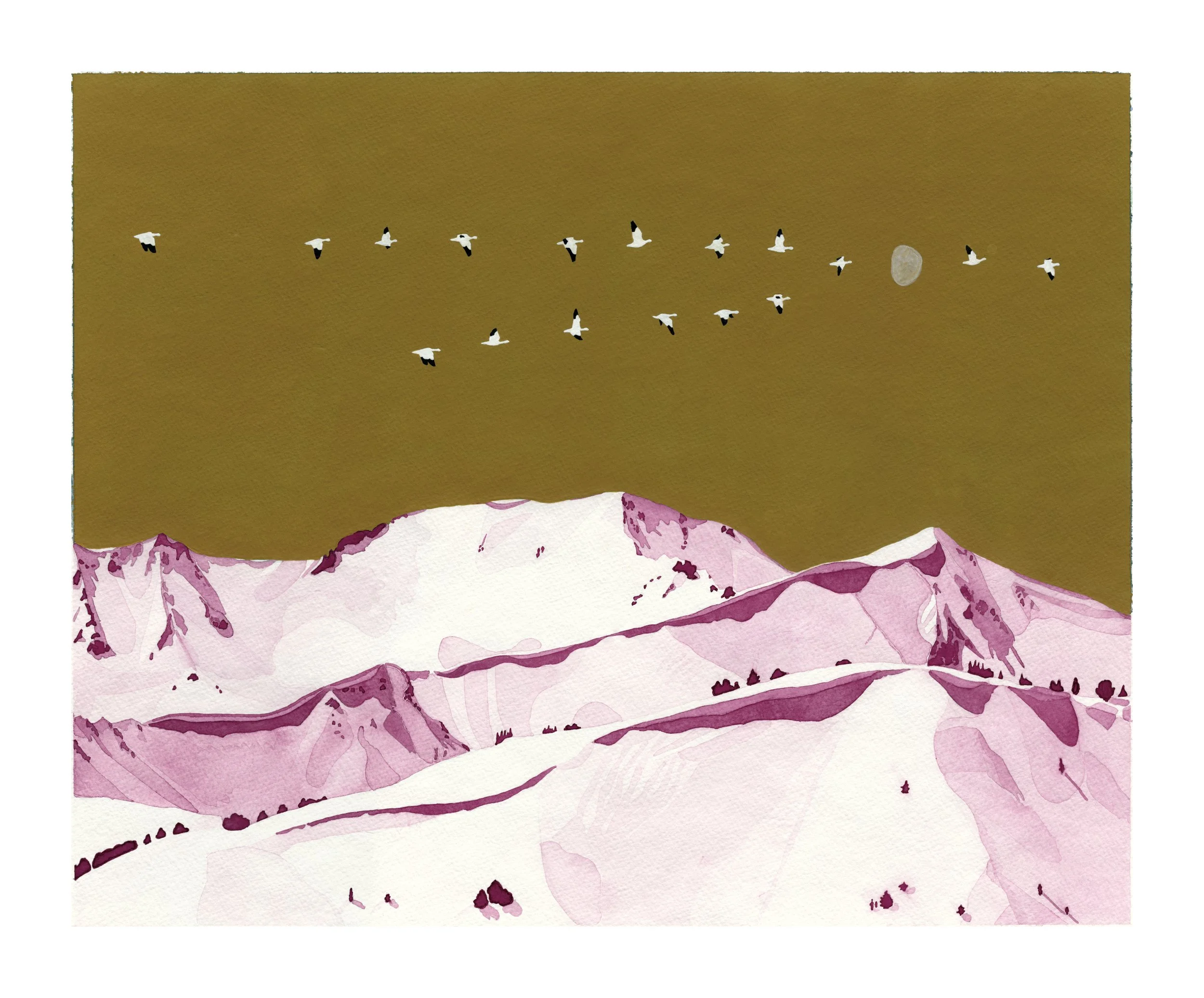 smaller white border.jpg