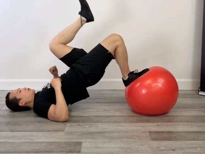 Medicine Ball Stability Ball Hamstring Curl Single Leg Medicine