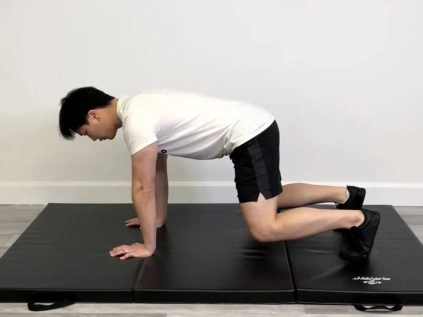 Bear Crawl Holds Rehab Hero Bear Crawl Holds Rehab Hero