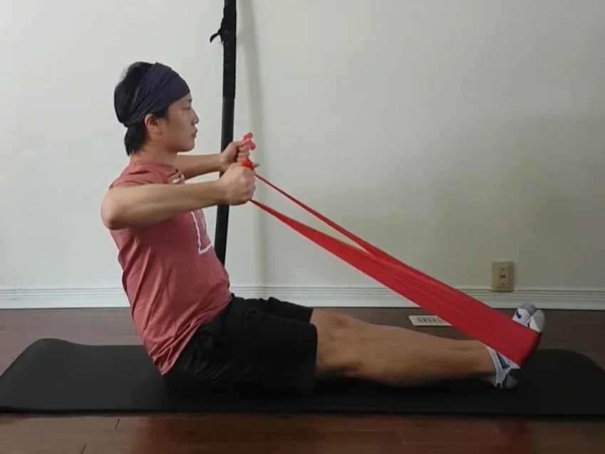 Cactus Rotations  Rehab Hero