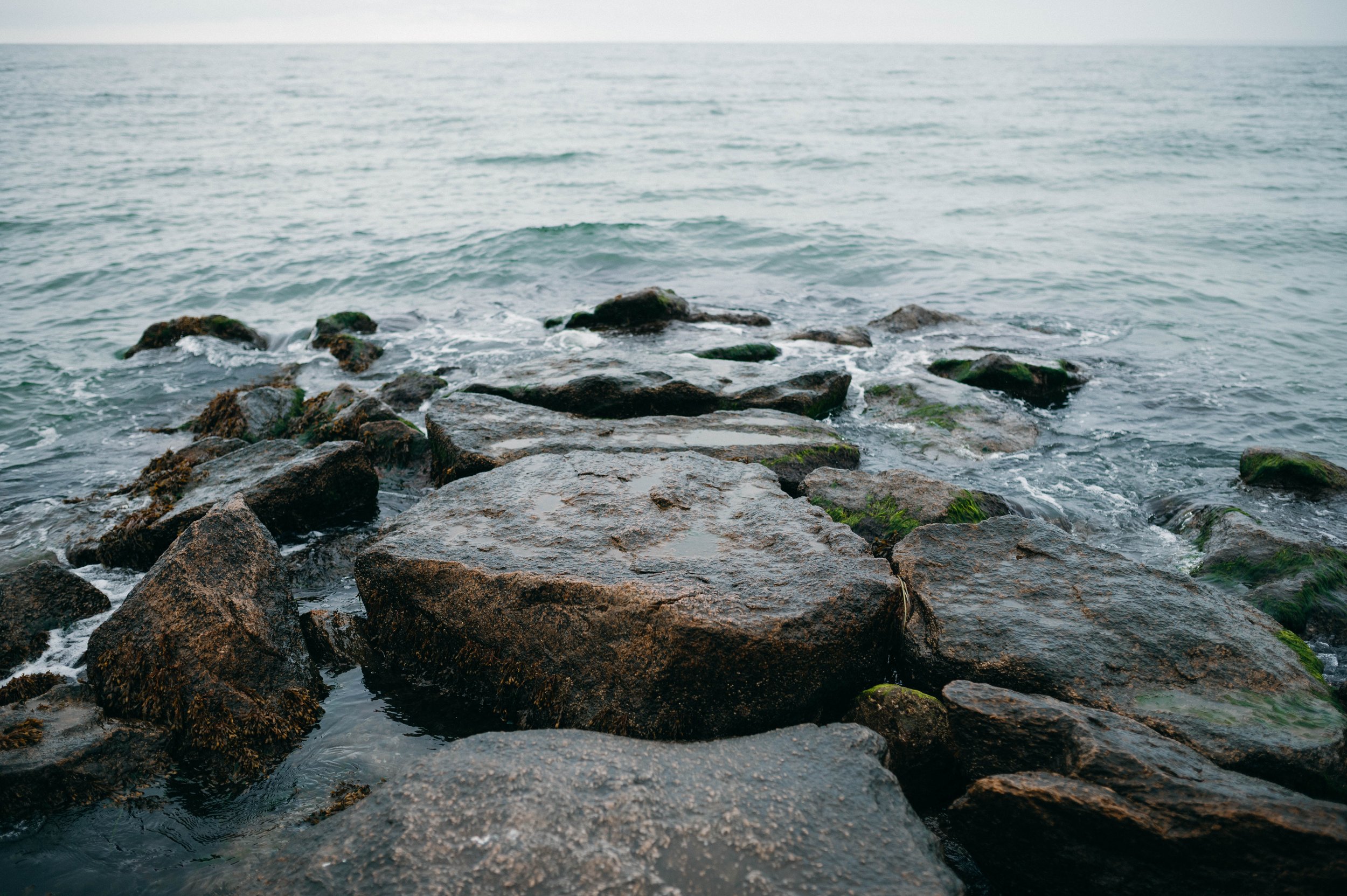 Cape Cod