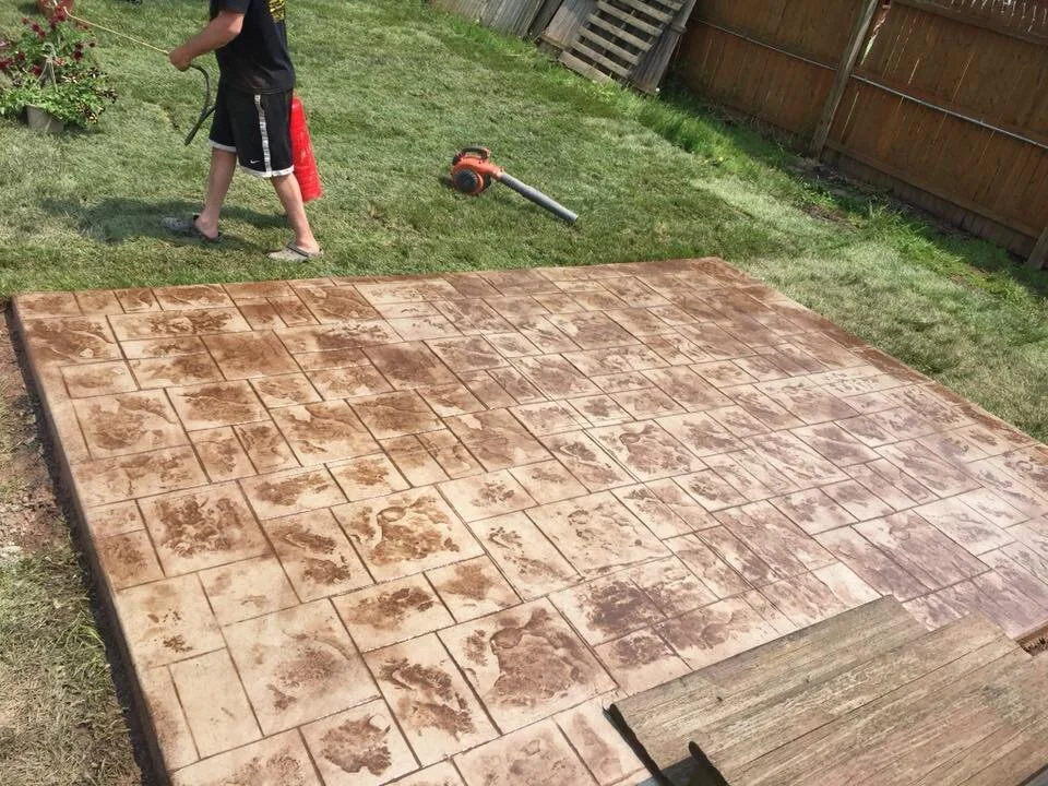 61681567_2317393801836809_1720801075461619712_n.jpg
