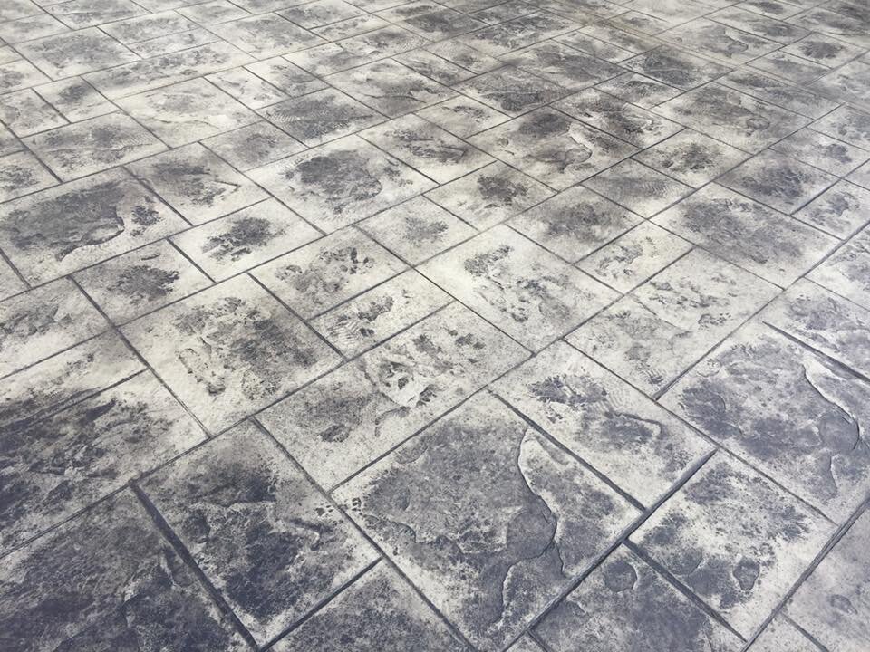 60357185_2306511042925085_3622123247031549952_n.jpg