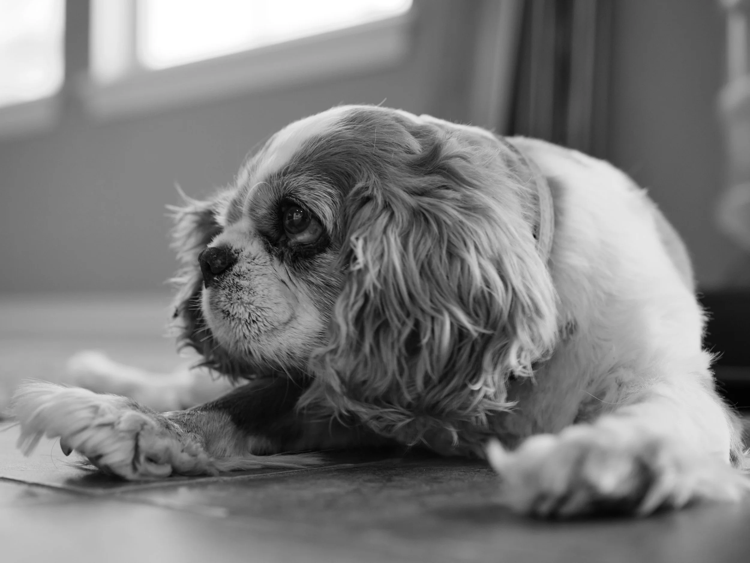 Losing My Best Friend