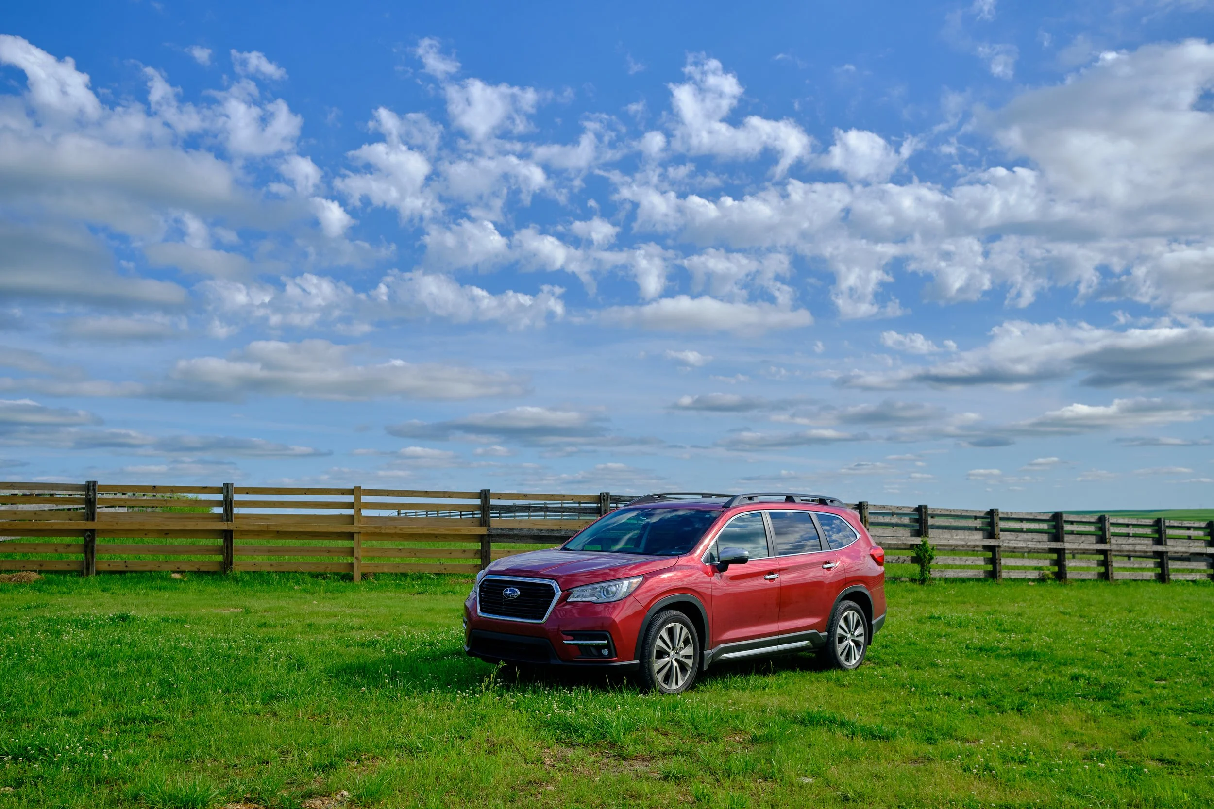 Ruby-The-Subie-0014.jpg