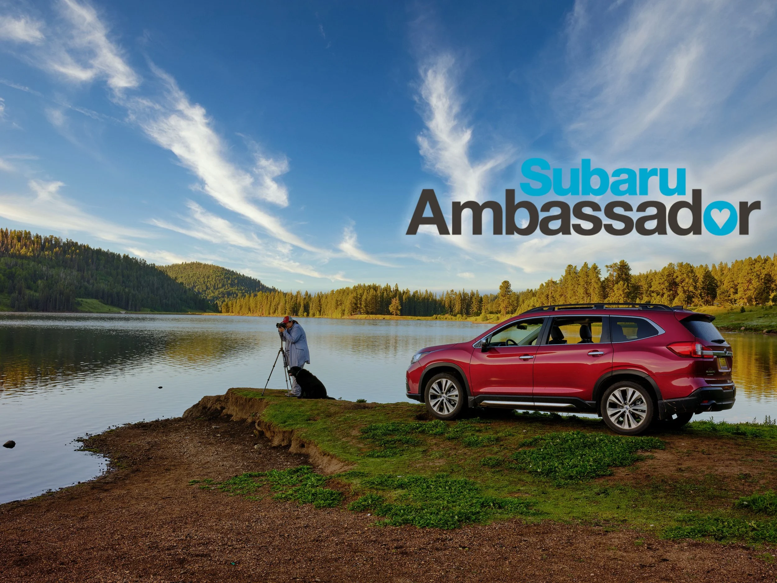 SUBARU AMBASSADOR, WHO KNEW!