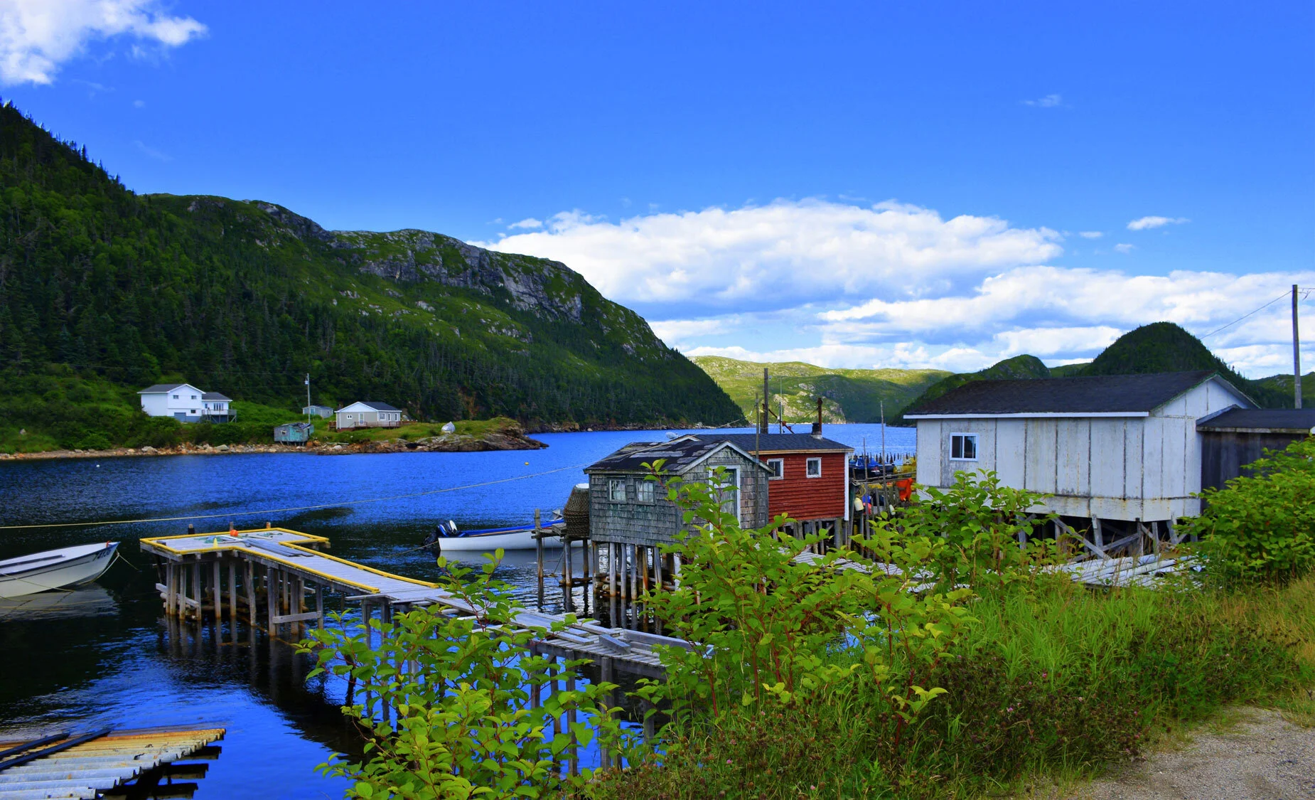 JLL_0431W.jpg
