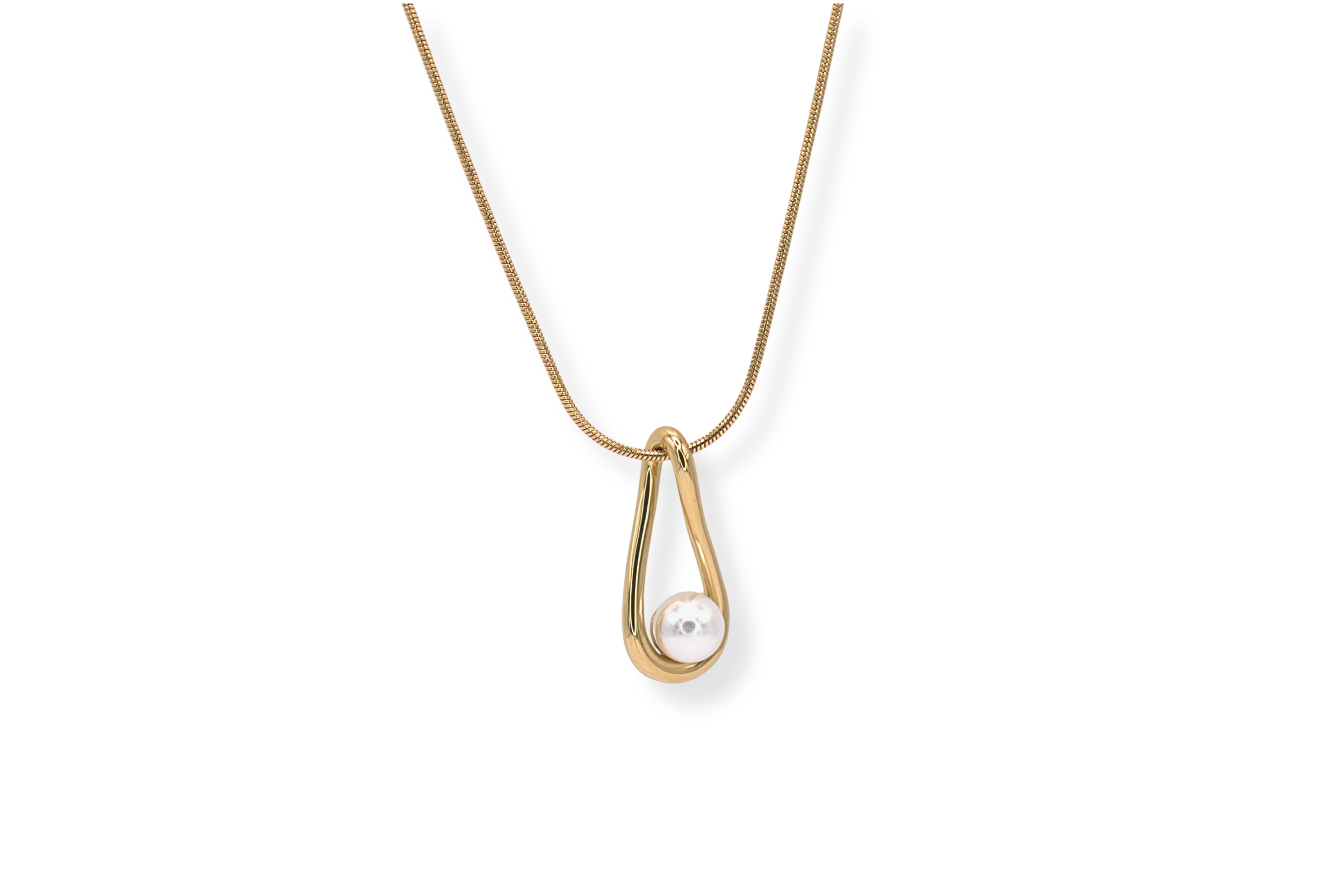 Untitled design (1).png