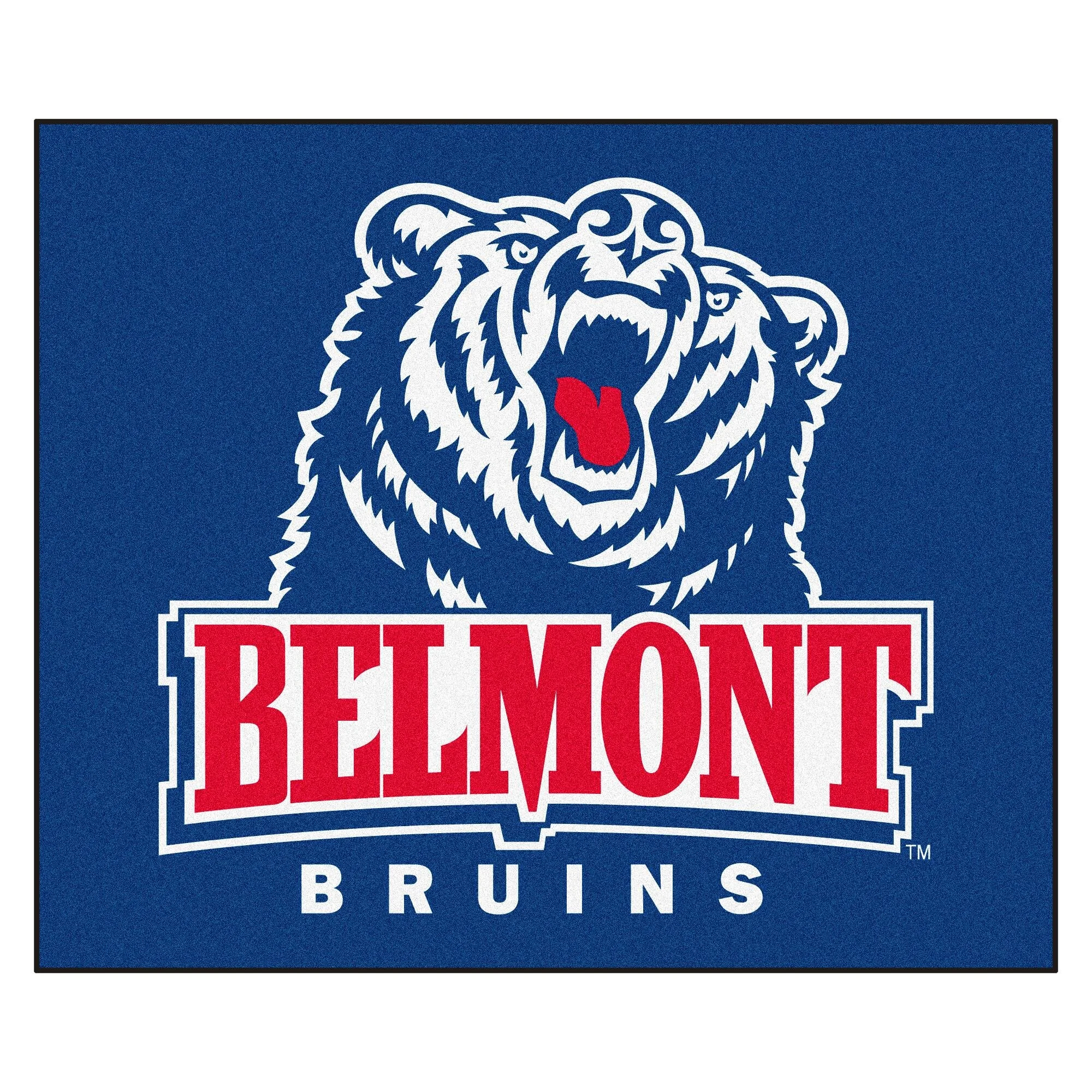 Belmont University adding a Music Therapy Degree Program