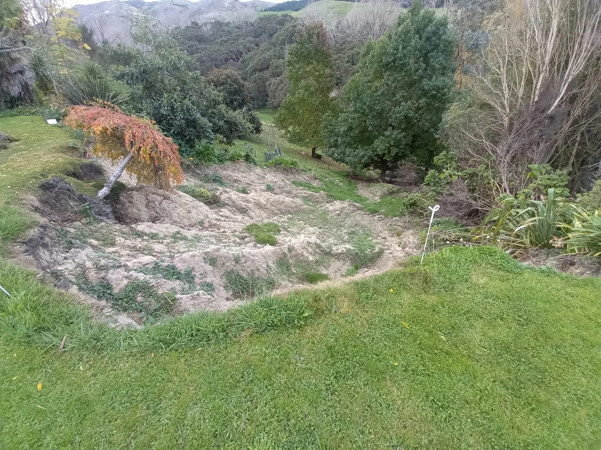 Slope stability assessment and subsoil investigation on property in Waimakariri District, Canterbury.