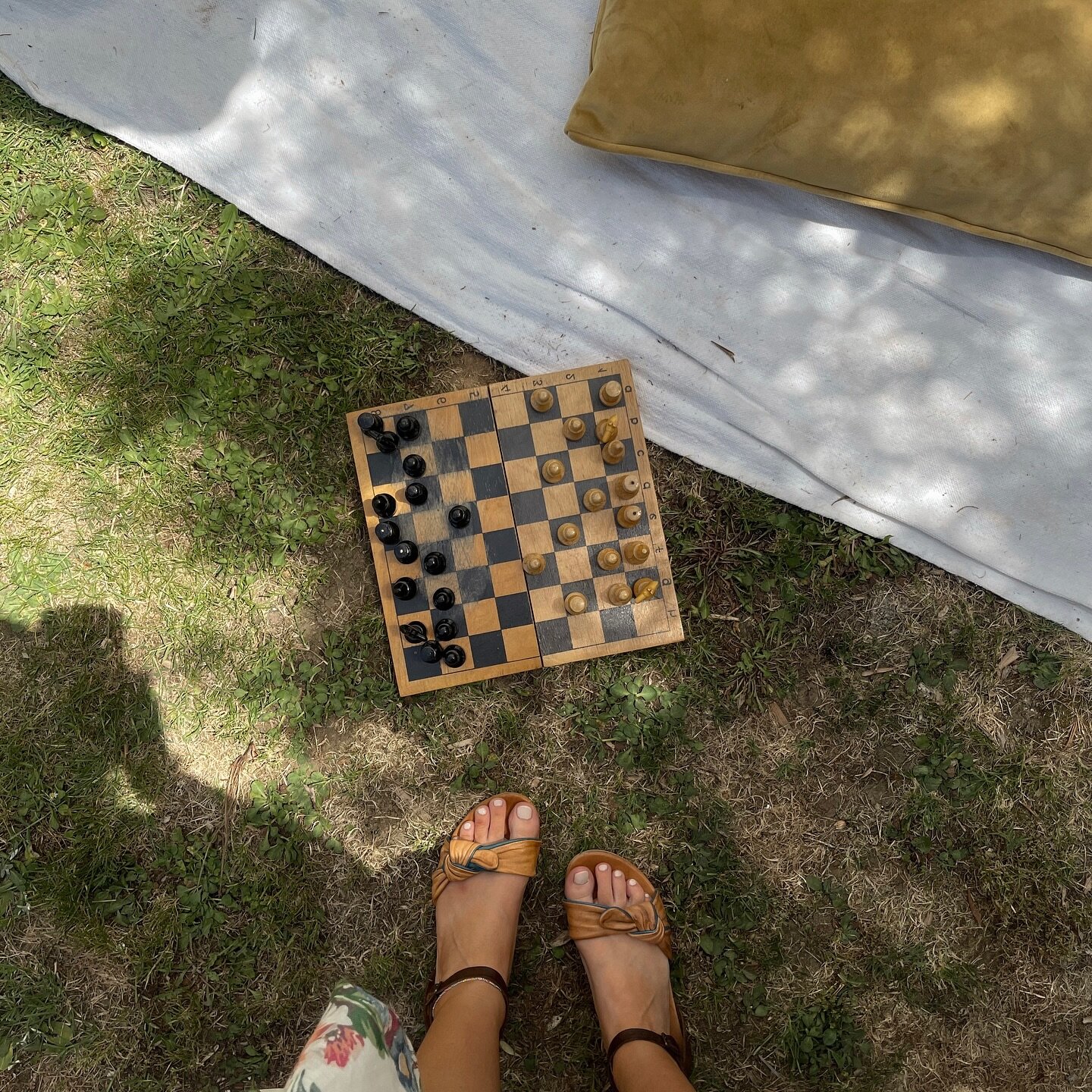 Checkmate ♟️

Picnic games are my new fav