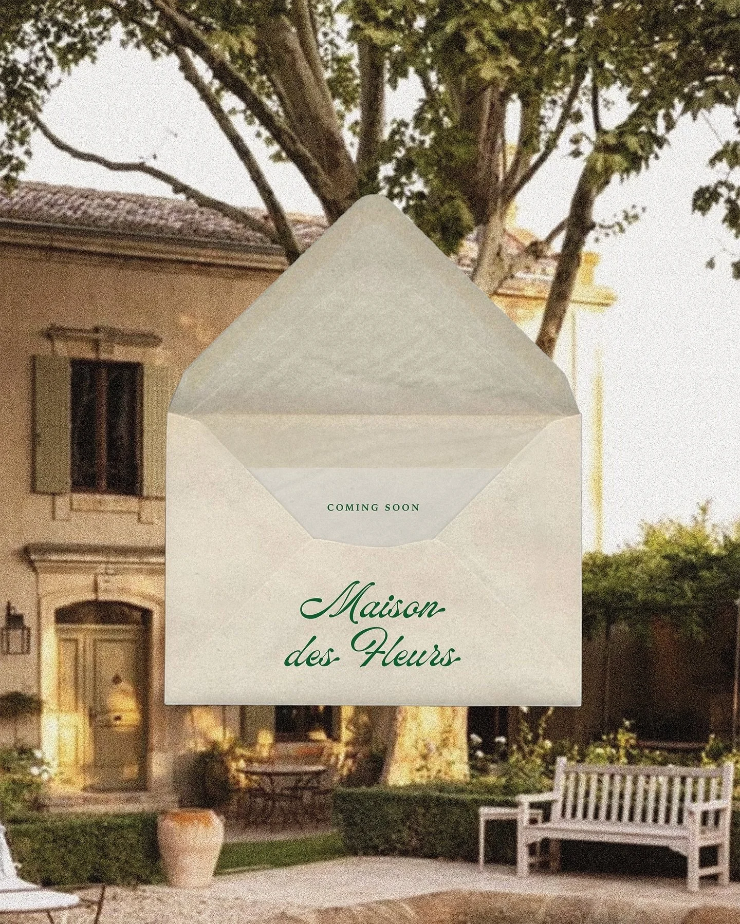 Maison des fleur&rsquo;s all things French coming soon 🇫🇷🌳🍷