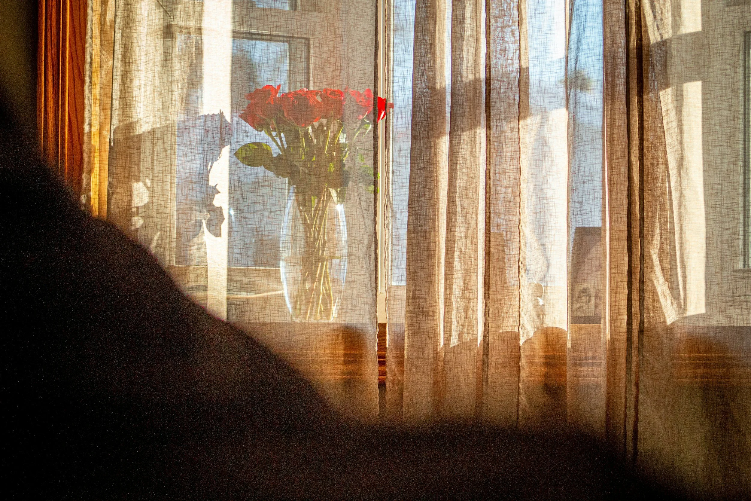 When You Open the Curtains, the Light Comes In