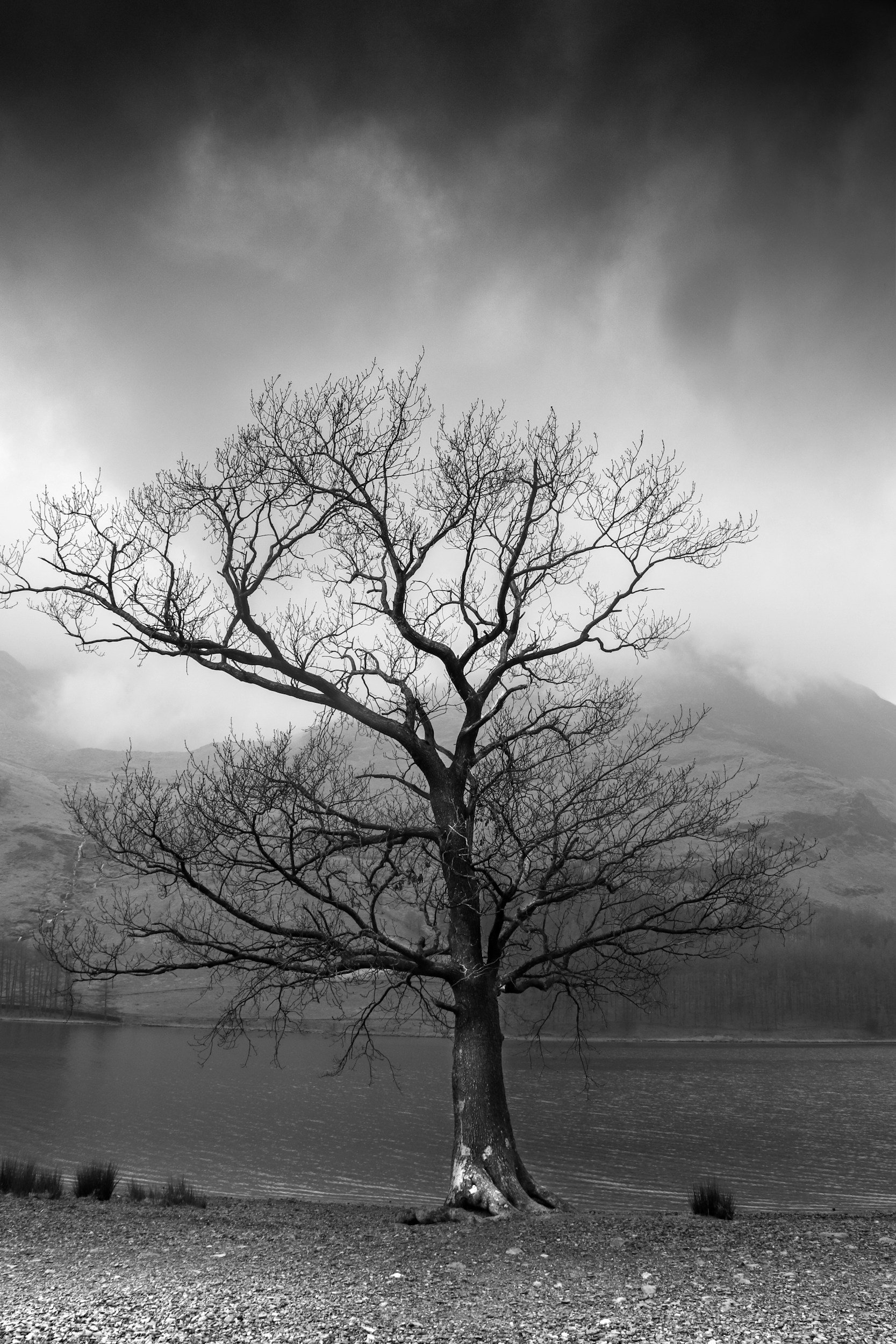 Do We Ever Stop Grieving?