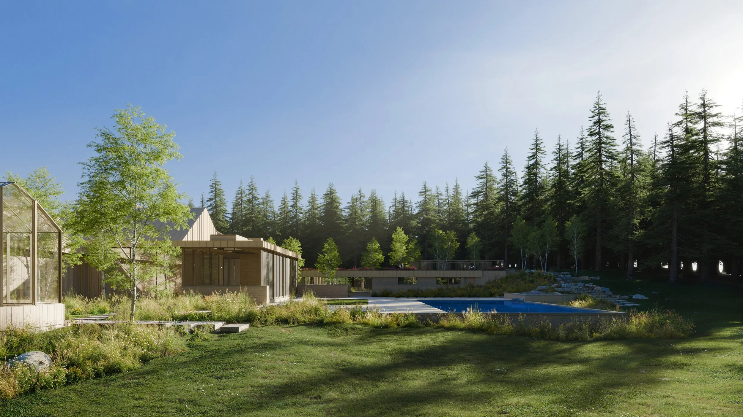 Modern house with large windows surrounded by lush greenery and tall trees, with a swimming pool in the yard, under a clear blue sky.