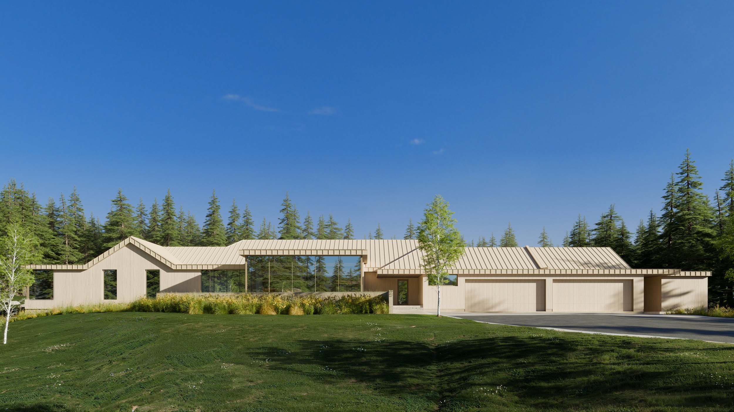 Modern house with a metal roof on a grassy landscape, surrounded by tall pine trees under a clear blue sky.