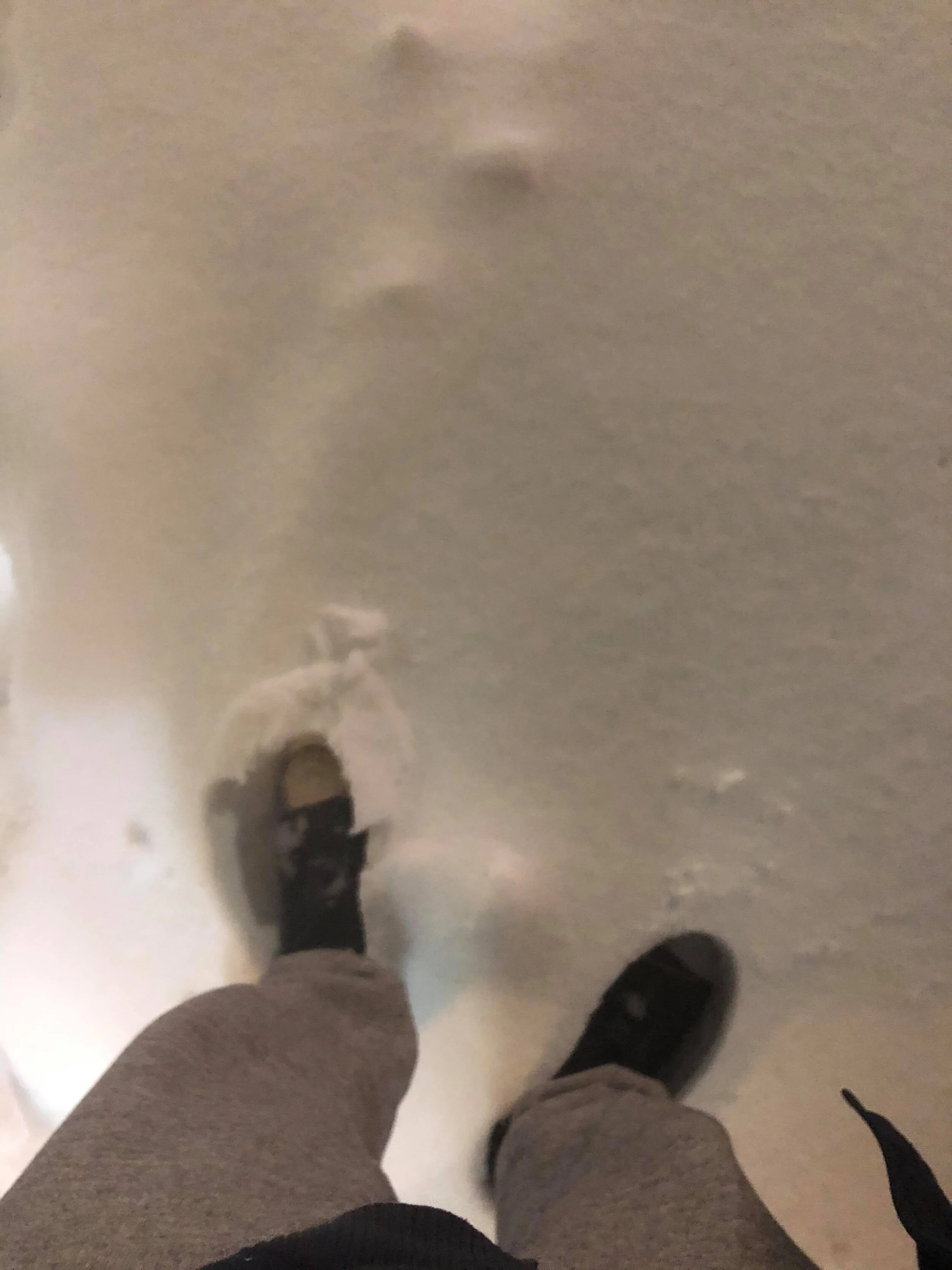 146116463_1114349382343090_2538556196939484407_n.jpg