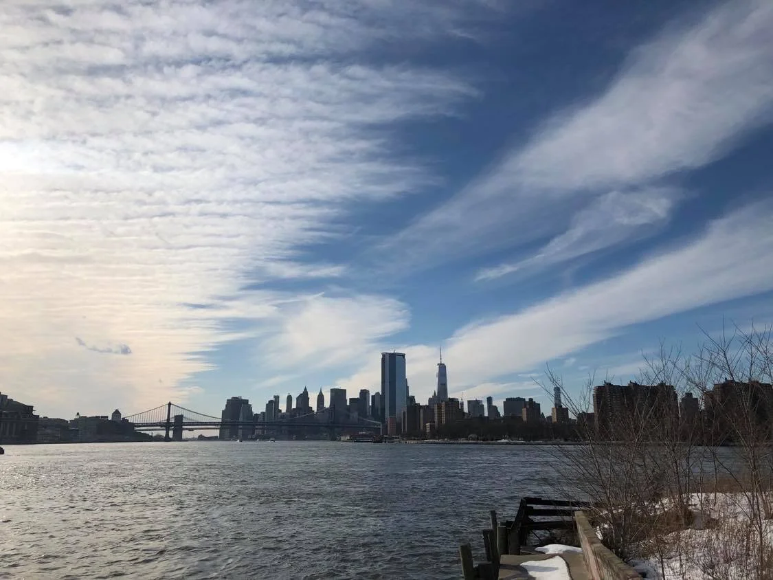 The view from Williamsburg close to Domino Park