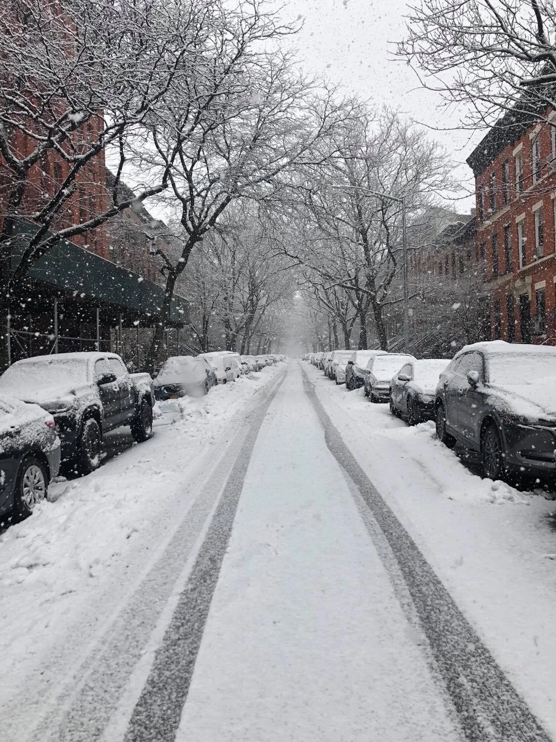 It snowed again! Our walk back from V Spot. So BEAUTIFUL
