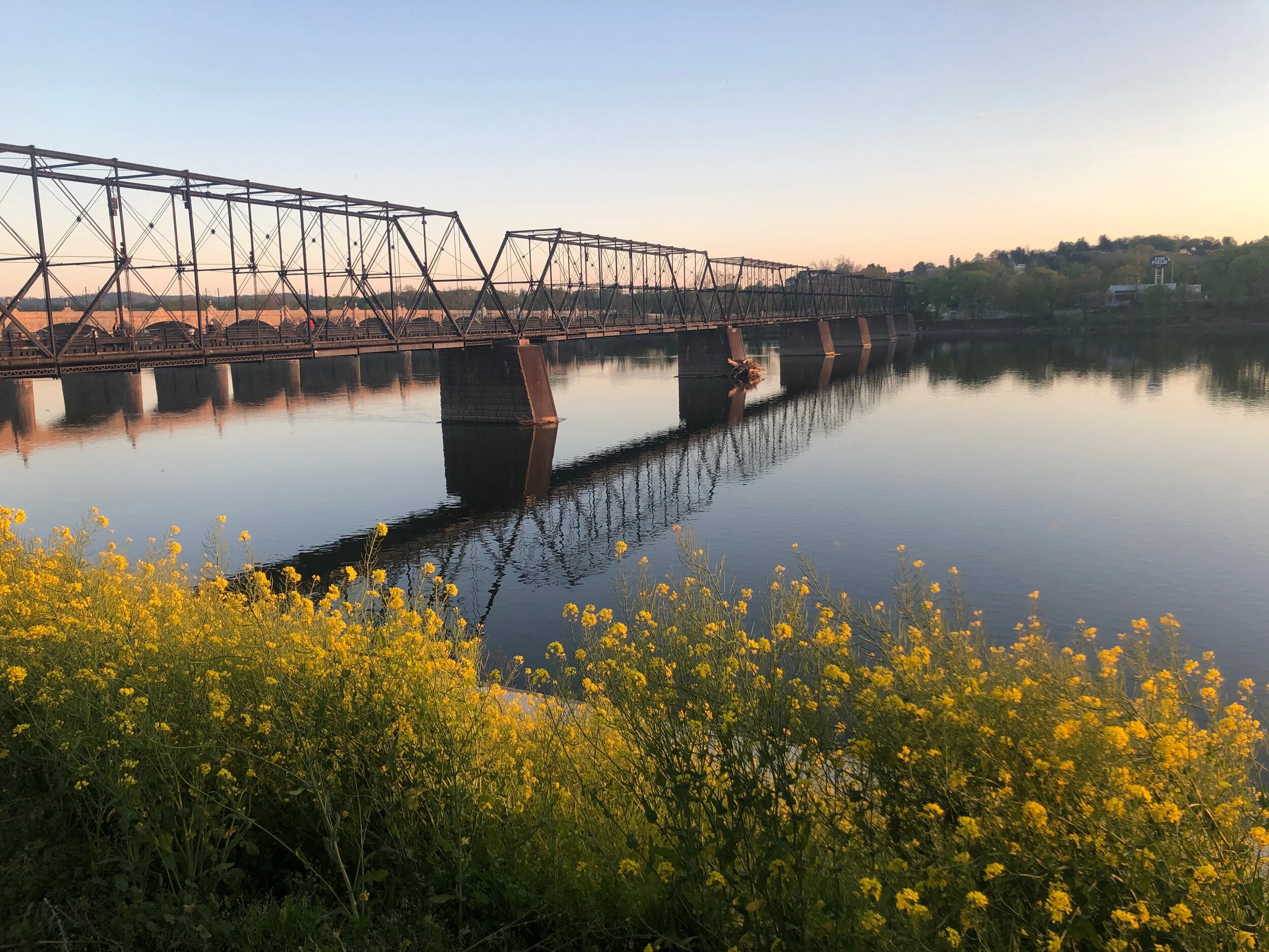 bridge flowers.jpeg