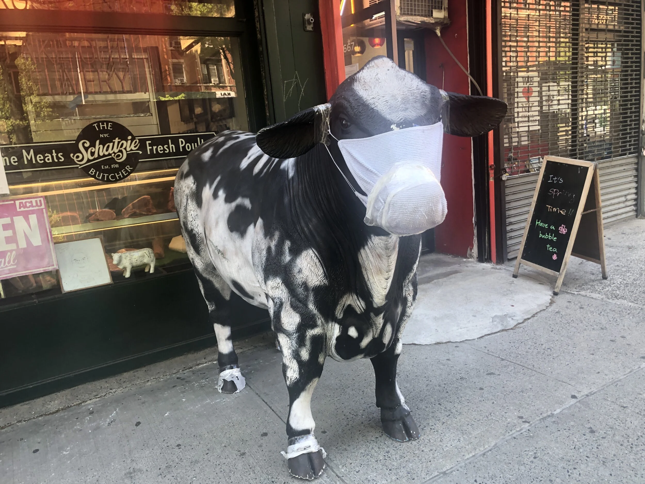 Even the cows wear masks in Upper West Side. This is THE PLACE TO BE