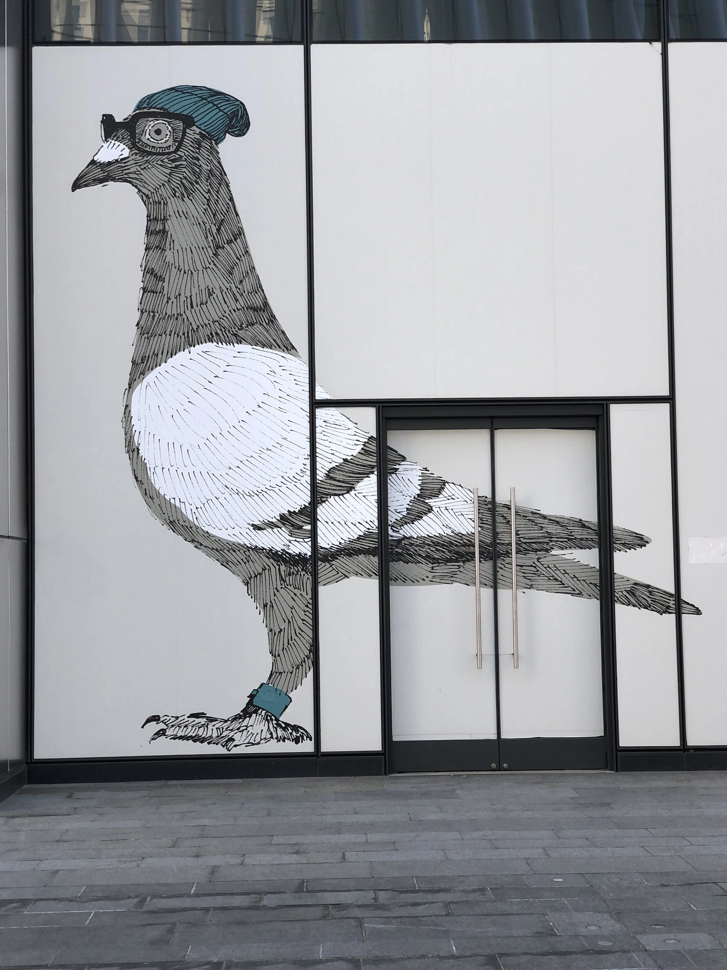Pigeon art near the office