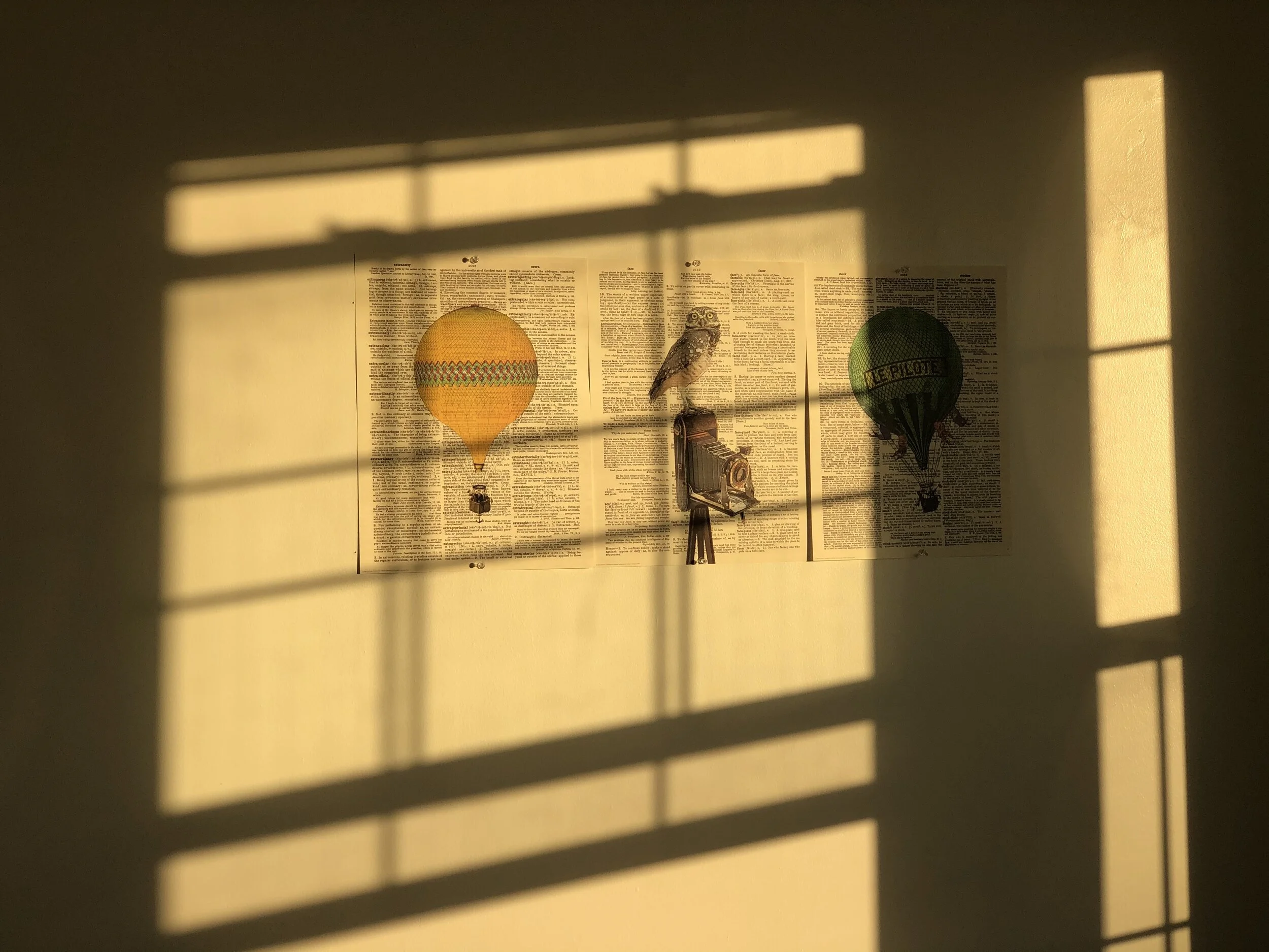 sunlit .JPEG
