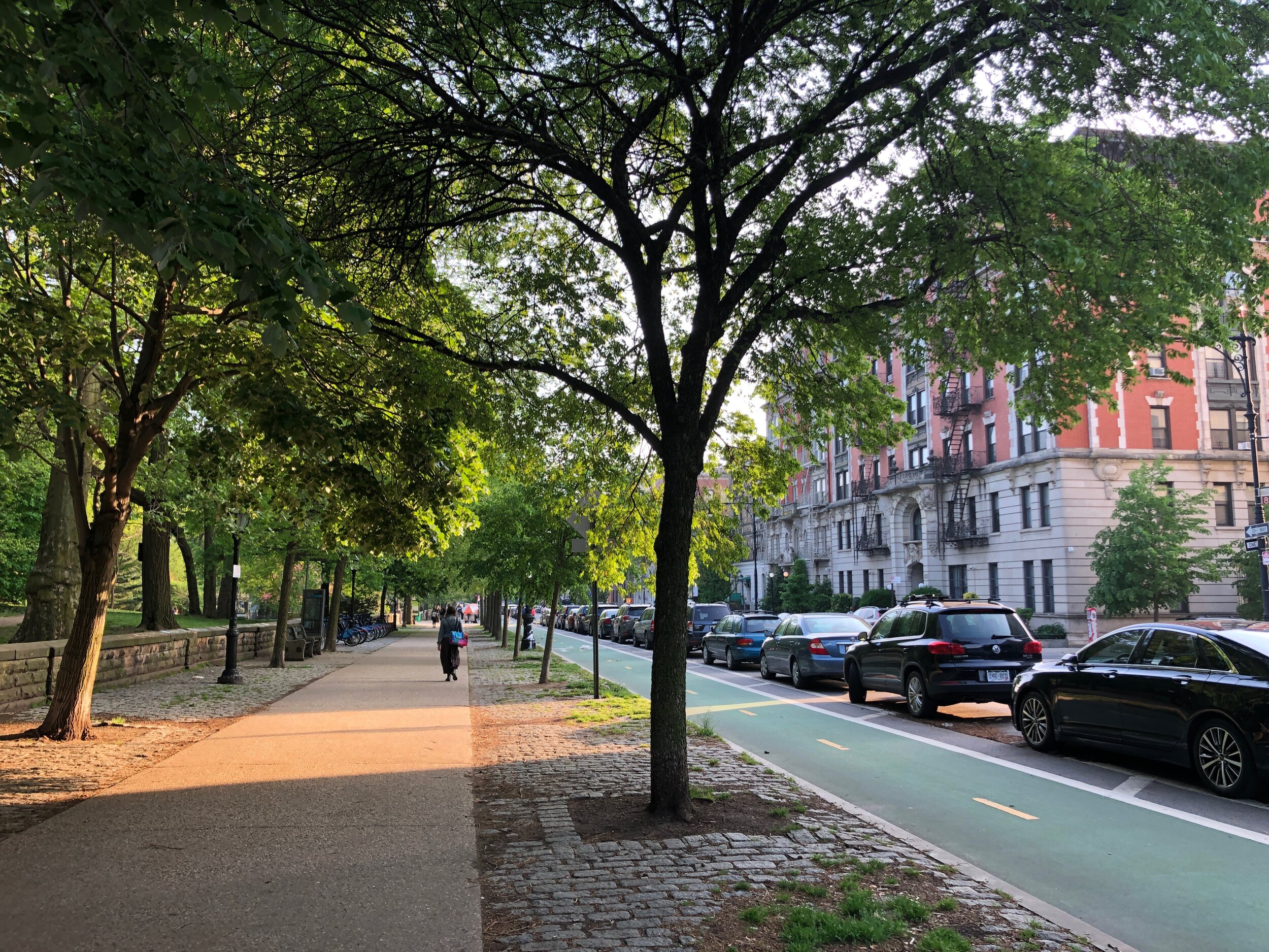 Walking down Prospect Park West