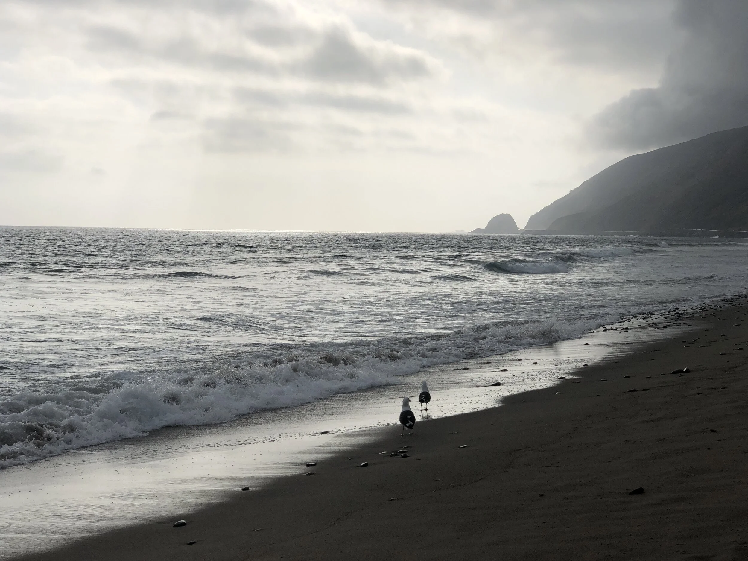 beach.JPEG