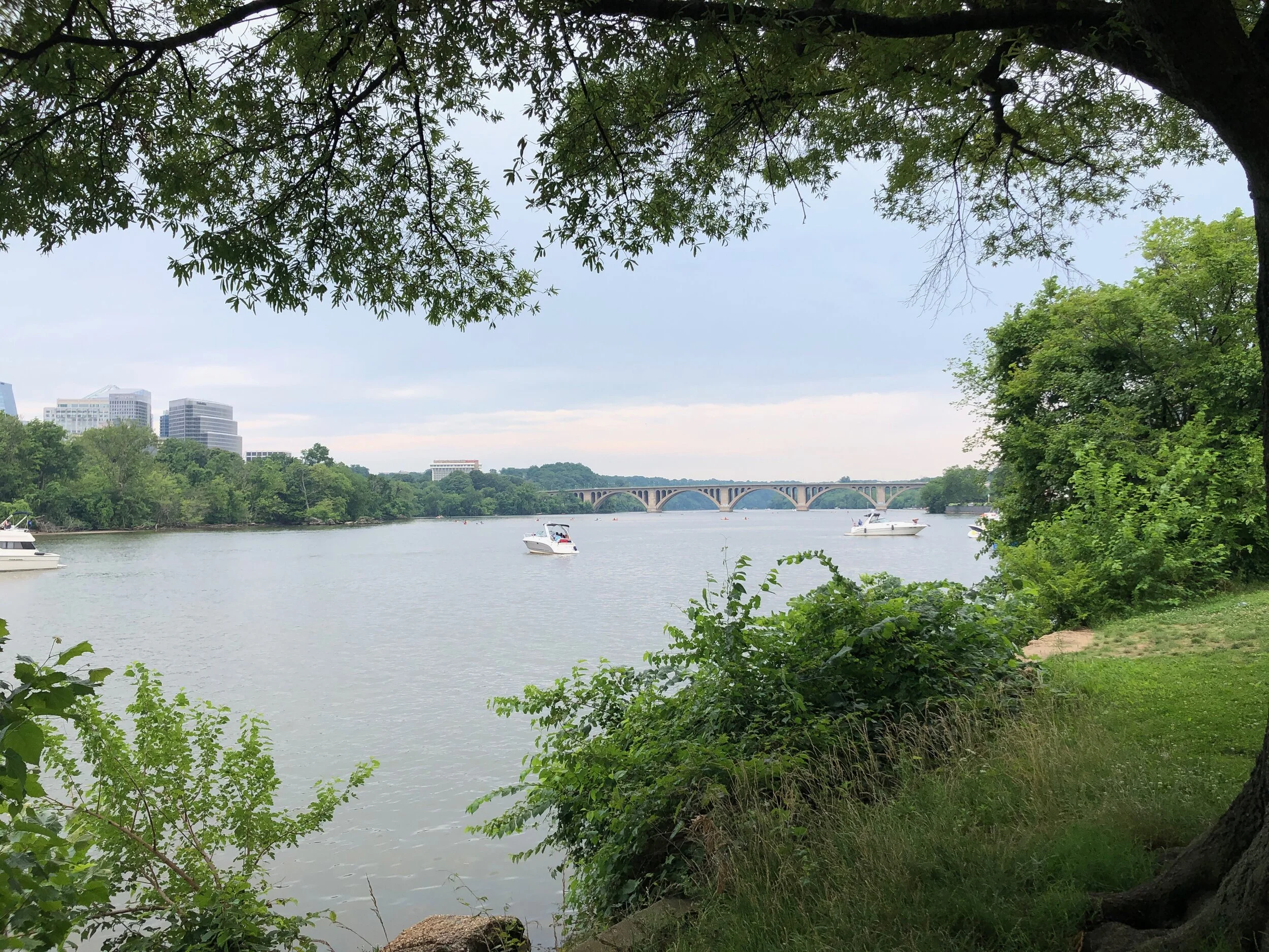 river.jpeg